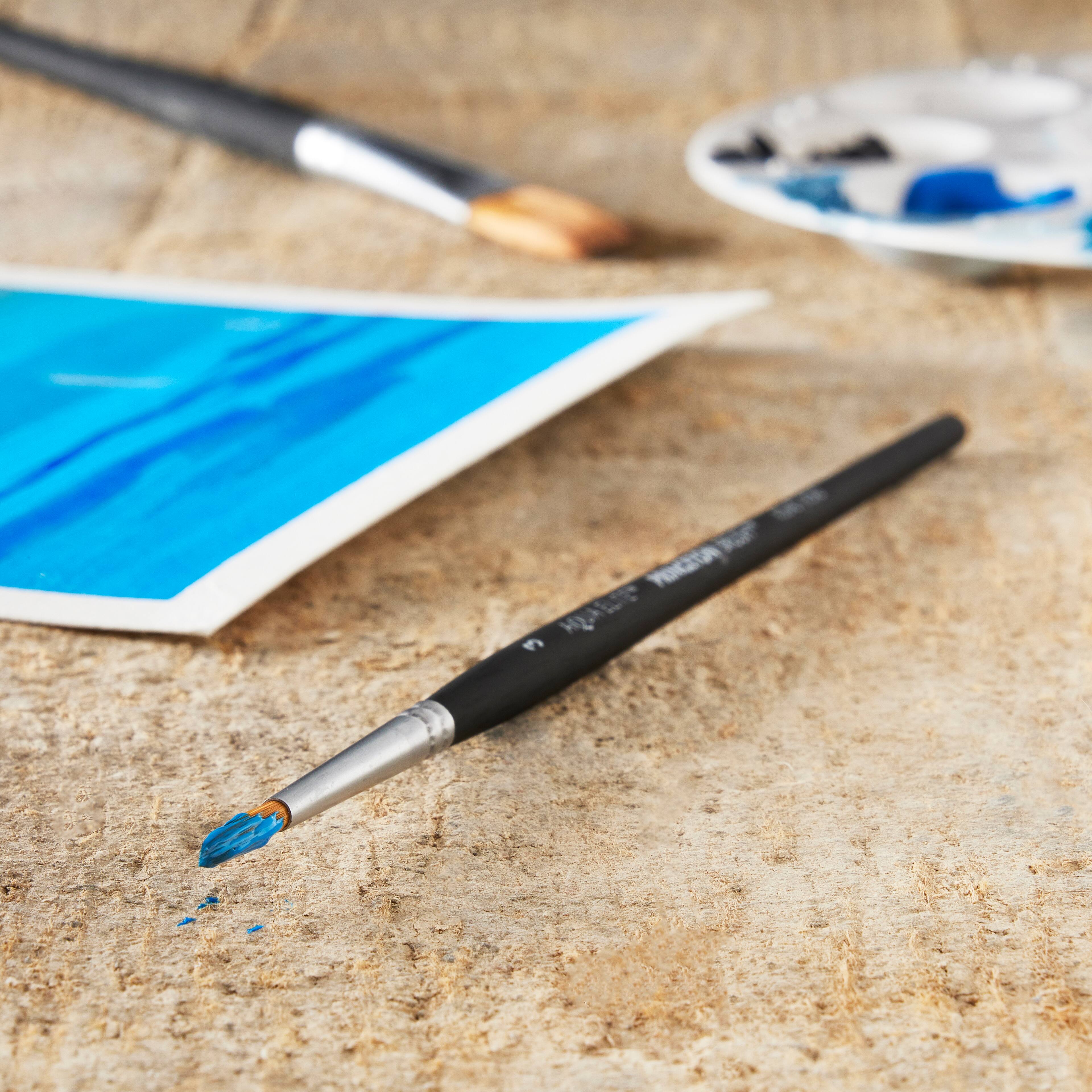 12 Pack: Princeton™ Aqua Elite™ Short Handle Round Brush