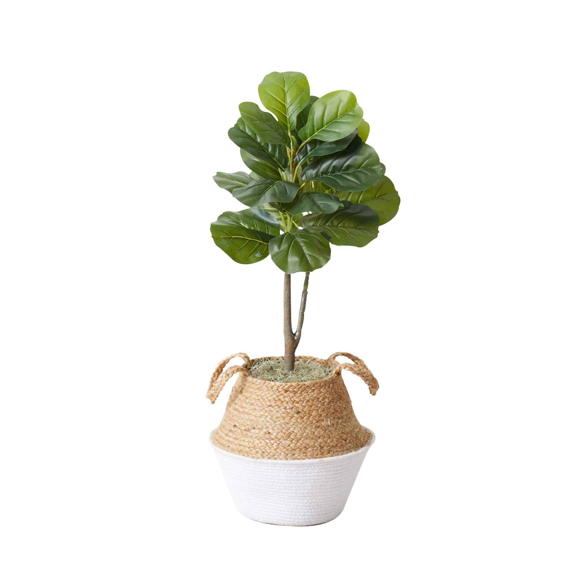 3ft. Artificial Fiddle Leaf Fig Tree With Handmade Cotton & Jute Woven Basket DIY Kit