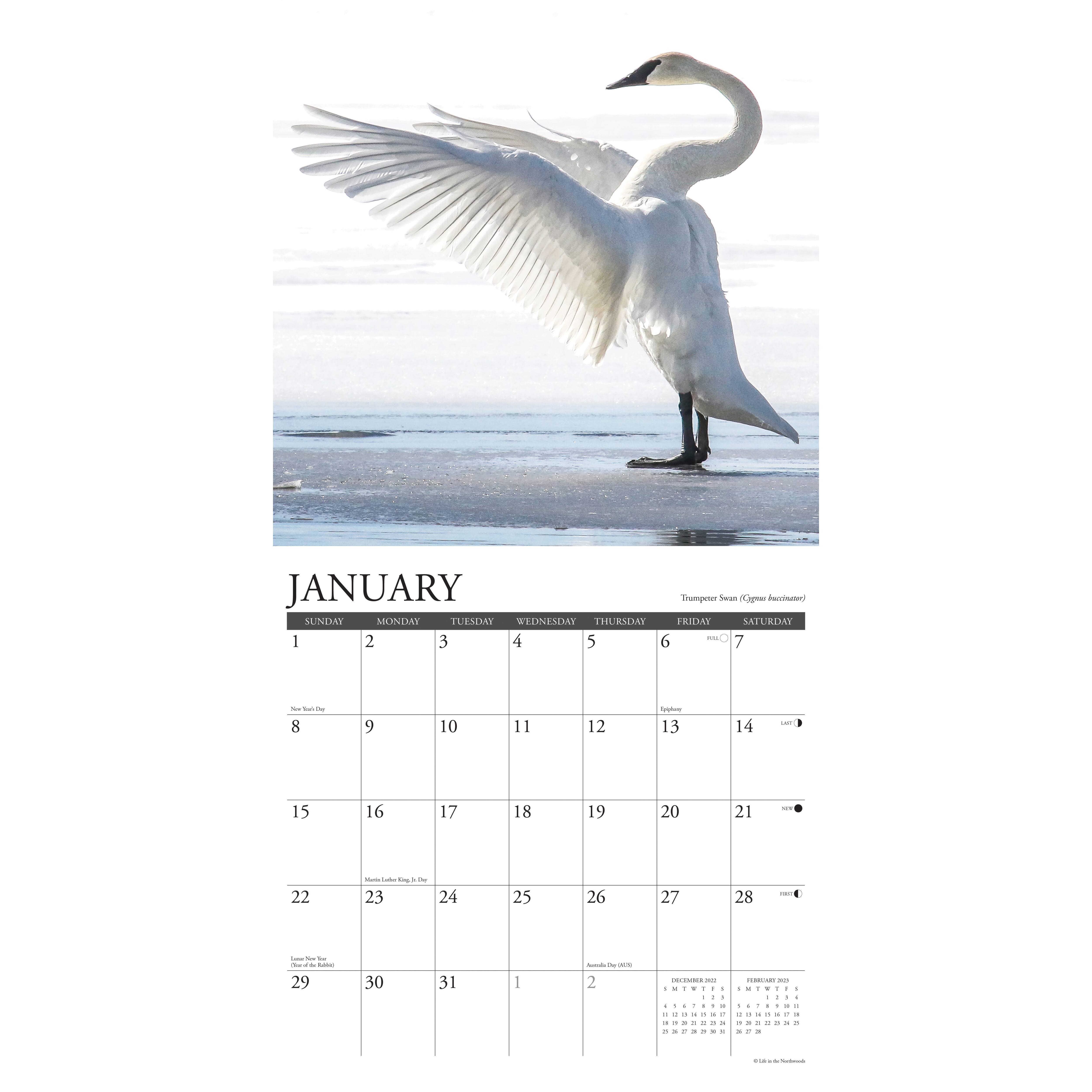 2023 Northwoods Wildlife Wall Calendar | Michaels