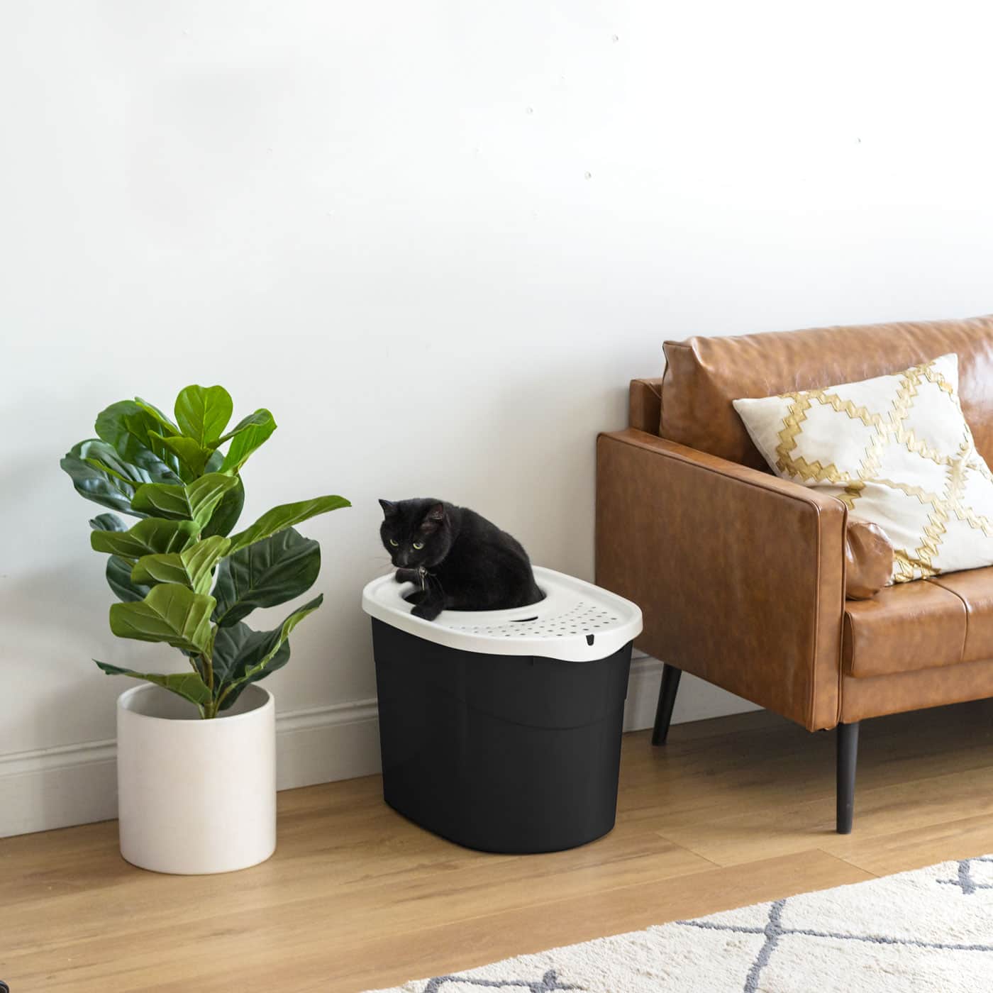 Iris® Large Top Entry Cat Litter Box with Scoop, Black