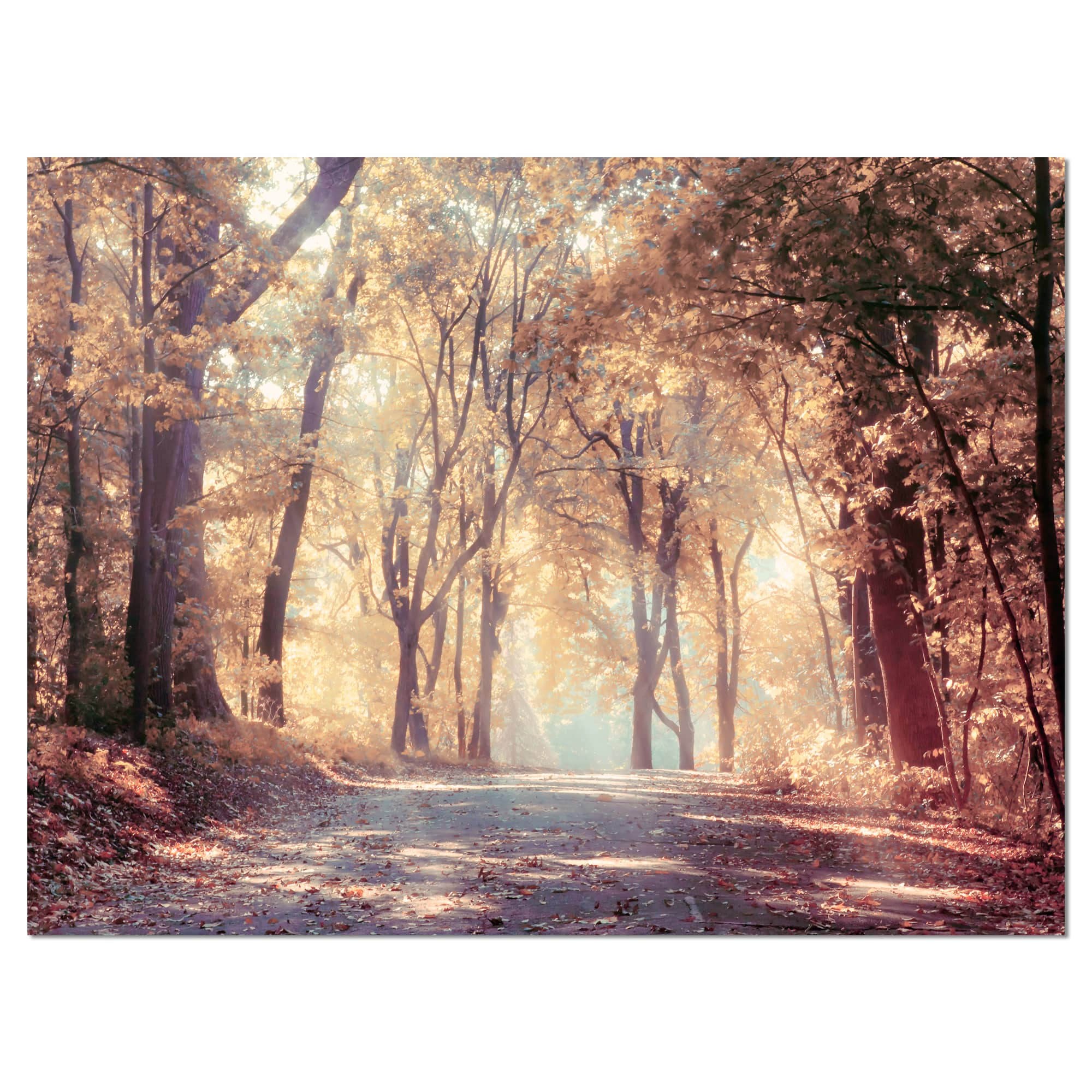 Designart - Golden Autumn Beautiful Forest - Landscape Canvas Art Print