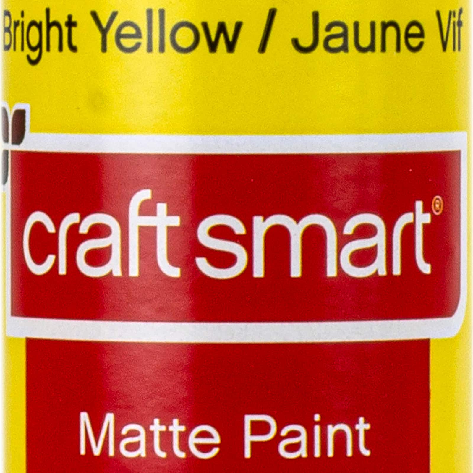 Matte Acrylic Paint by Craft Smart®, 16oz.