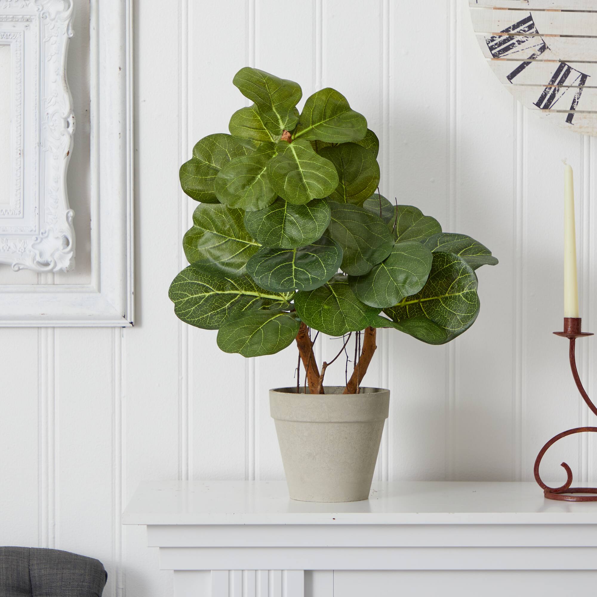 22" Fiddle Leaf in Stone Planter