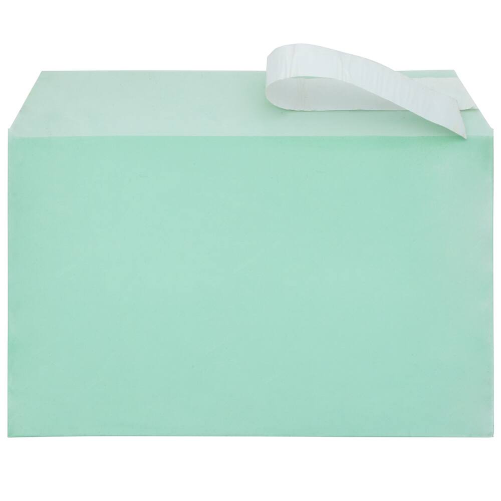 JAM Paper 5.43" X 8.62" Self Adhesive Closure Cello Sleeves, 100ct.