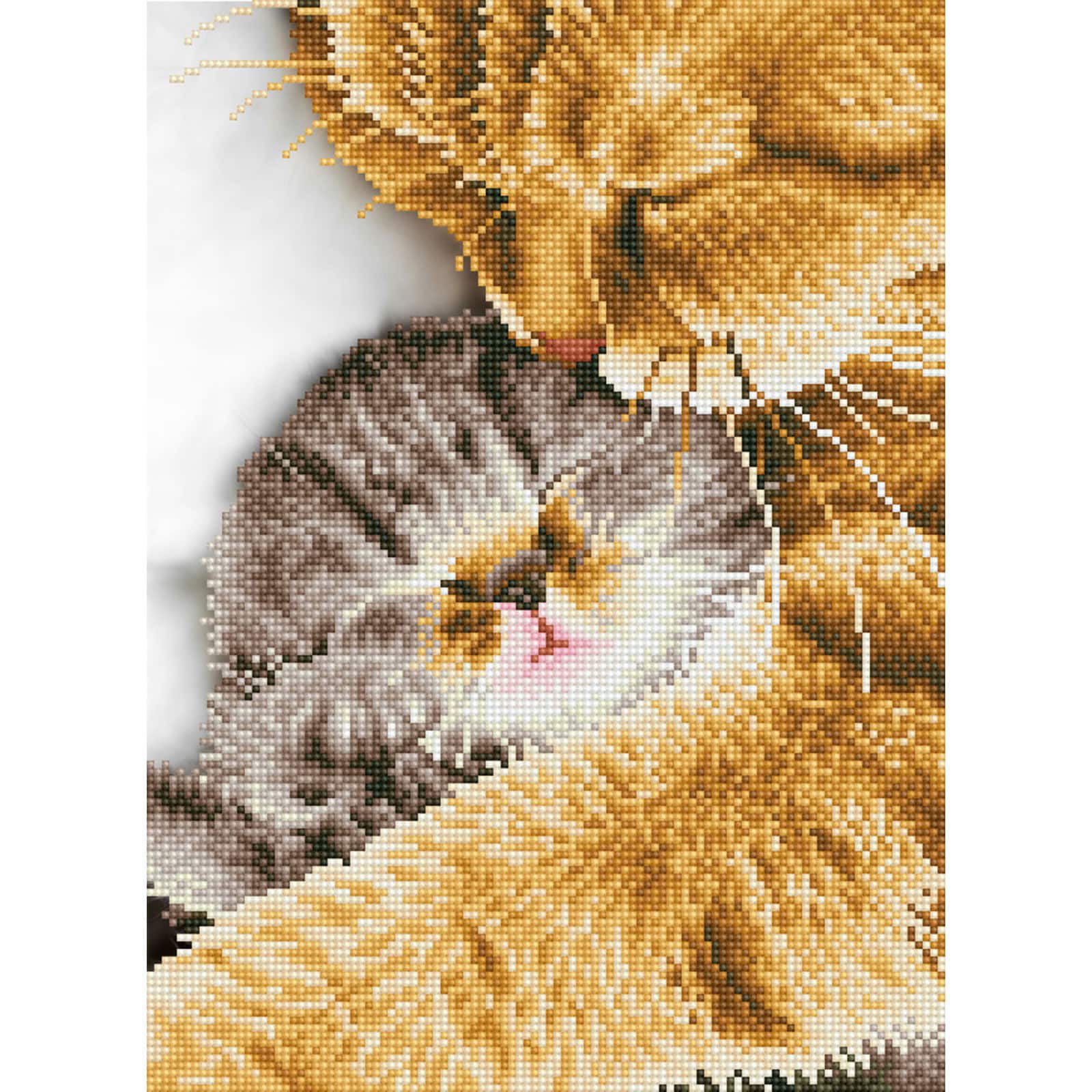 Diamond Dotz® Intermediate Tender Moment with Frame Diamond Painting Kit