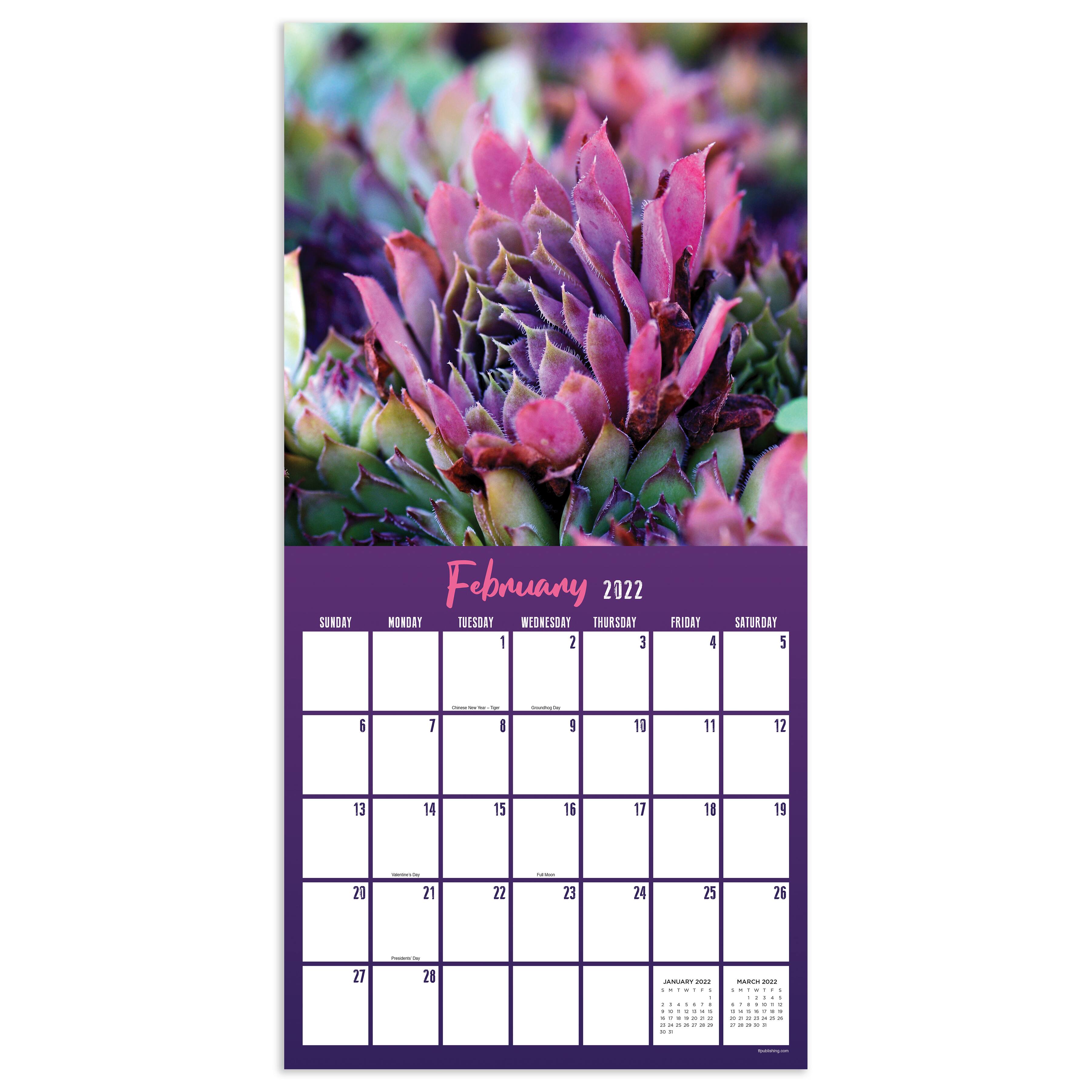 Succulents Michaels 2022 Protea Wall Calendar