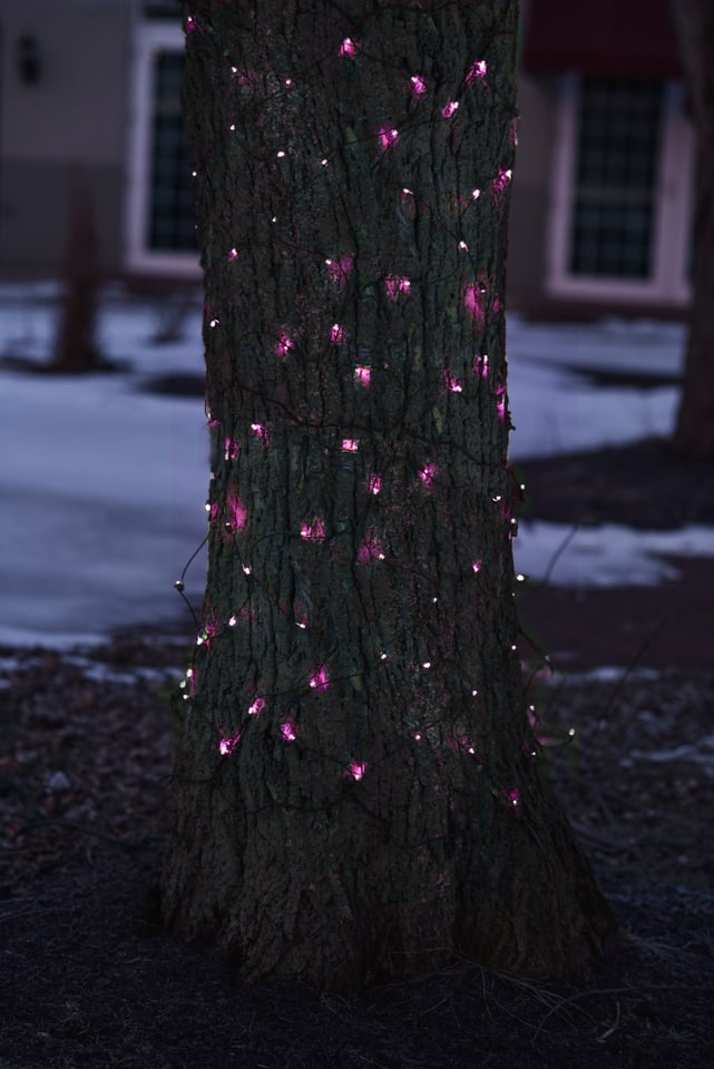 2ft. x 8ft. Pink Tree Trunk Wrap Christmas Net Lights