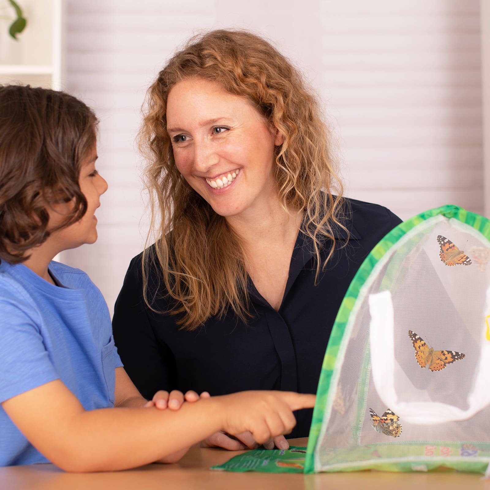 Insect Lore Butterfly Farm®