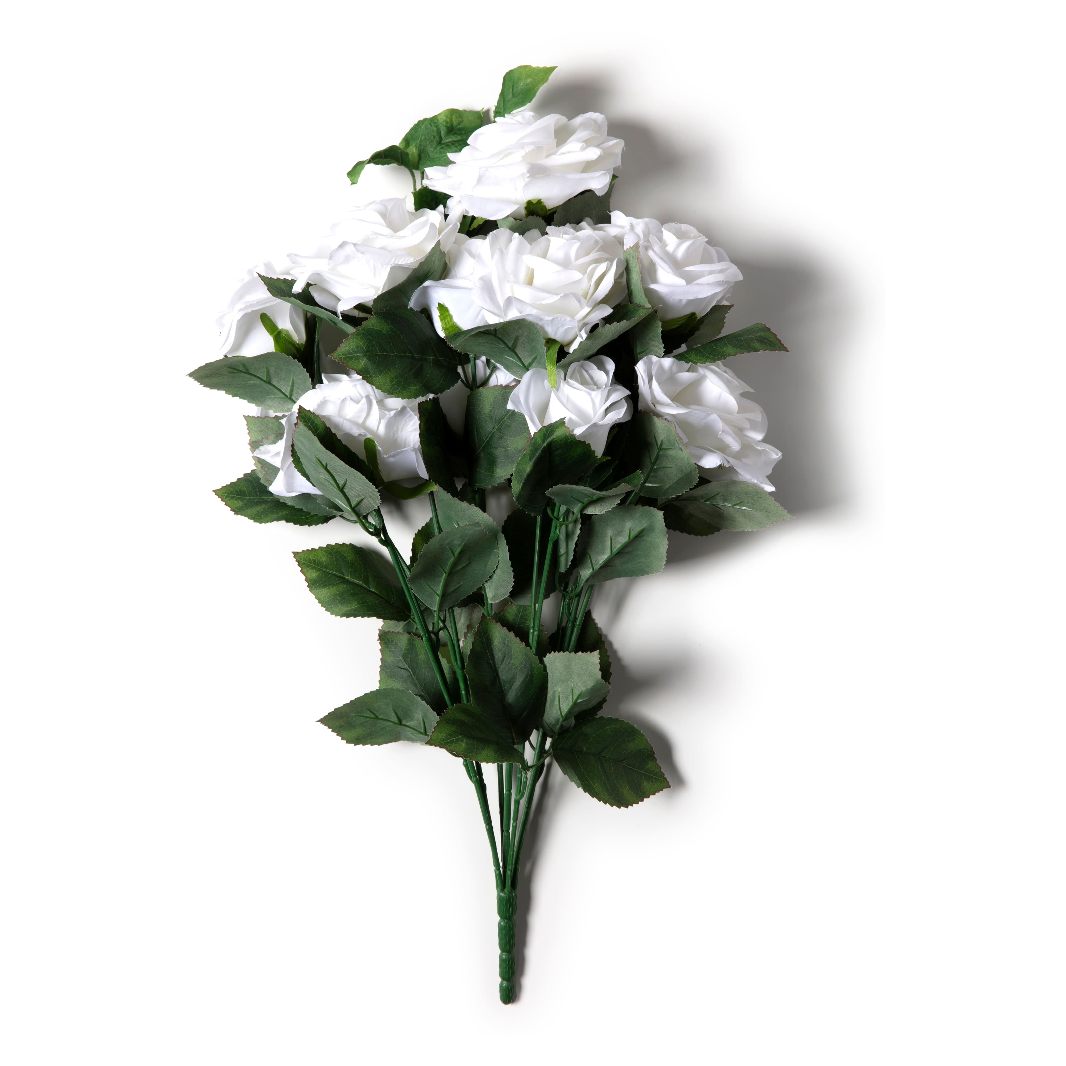 White Rose Bush by Ashland®