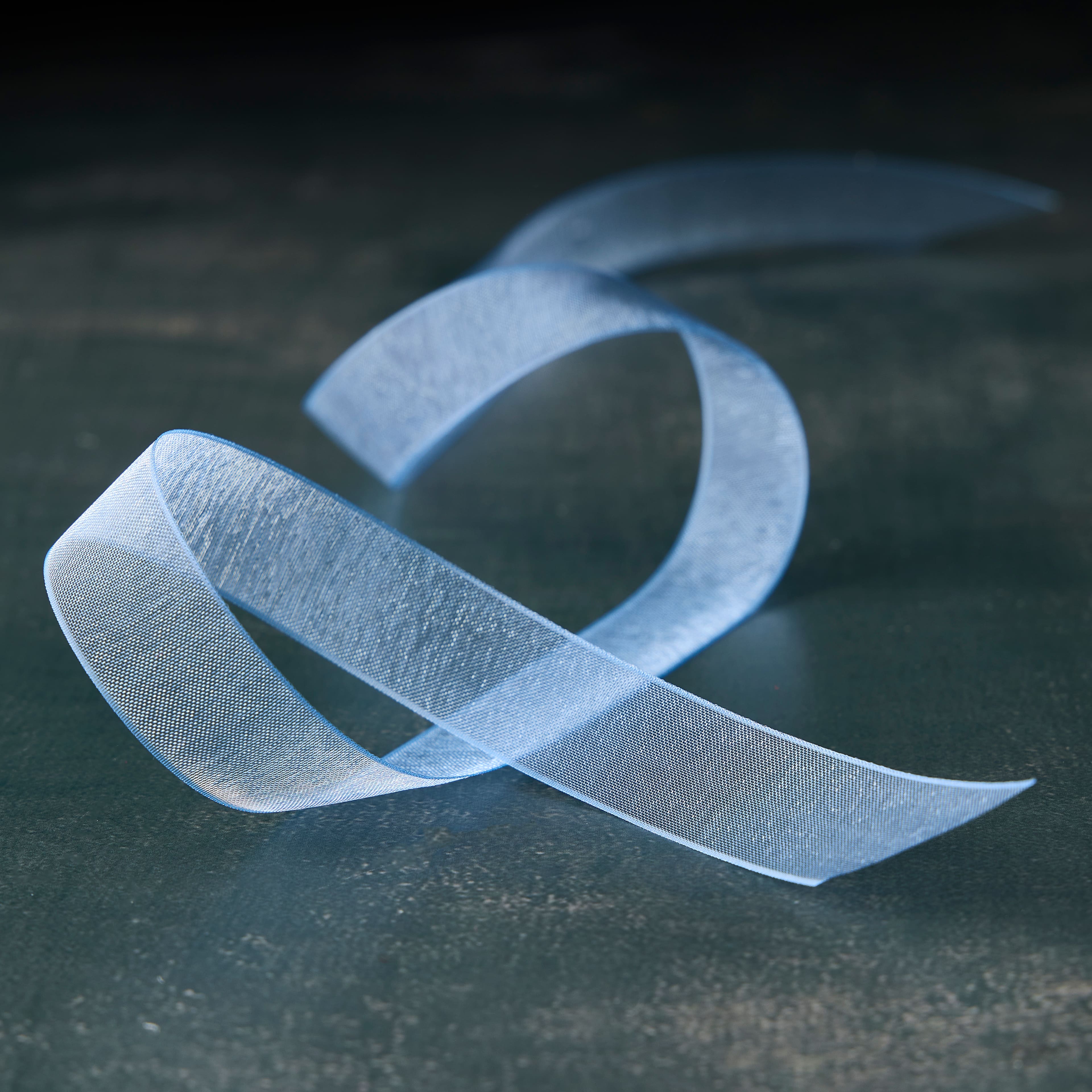 5/8&#x22; x 7yd. Sheer Organza Ribbon by Celebrate It&#xAE; Classic