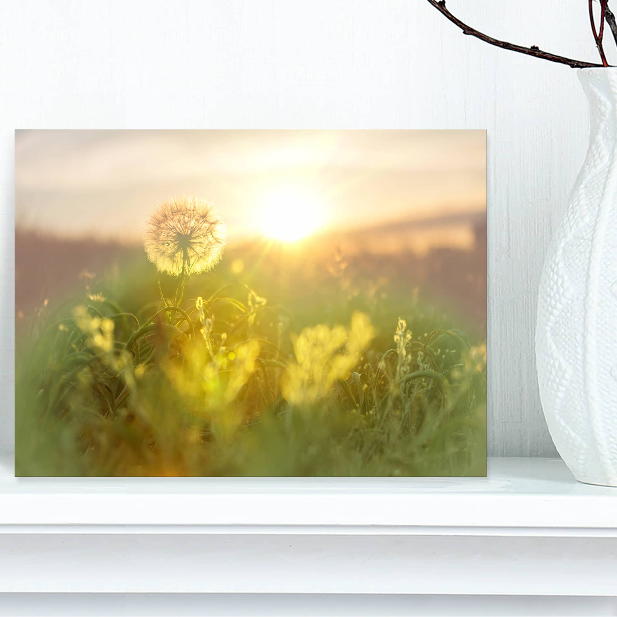 Designart - Dandelion Blooming Flower in Field - Floral Canvas Art Print