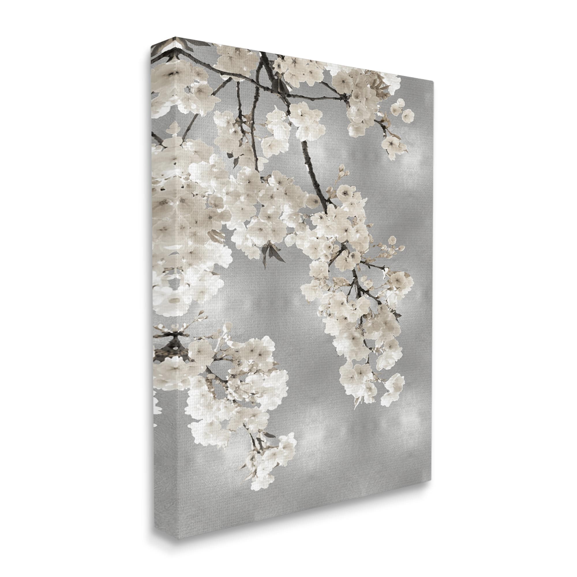 Stupell Industries Spring Blossoms White Flowers Tree Branch Canvas Wall Art