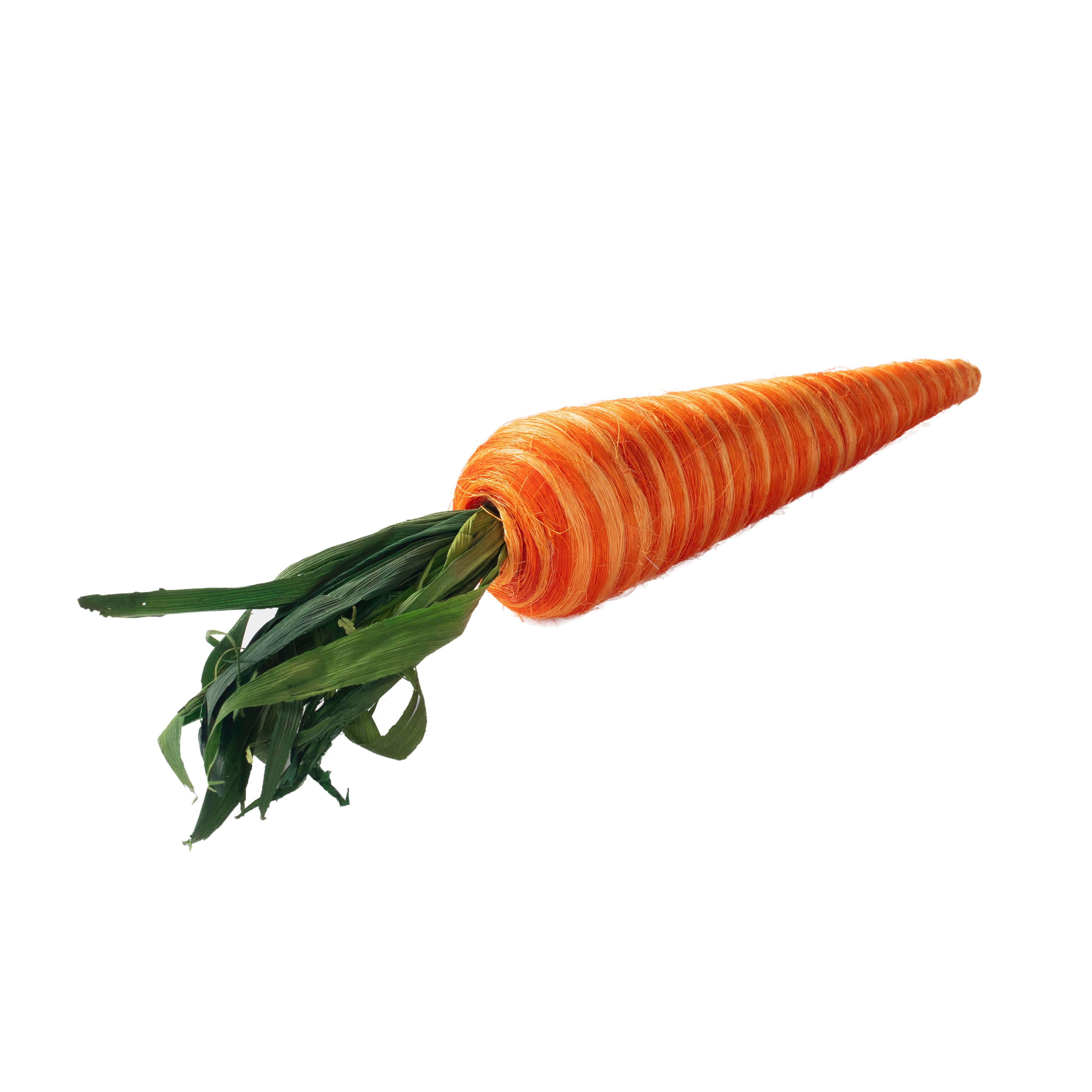 Large Orange Carrot by Ashland&#xAE;