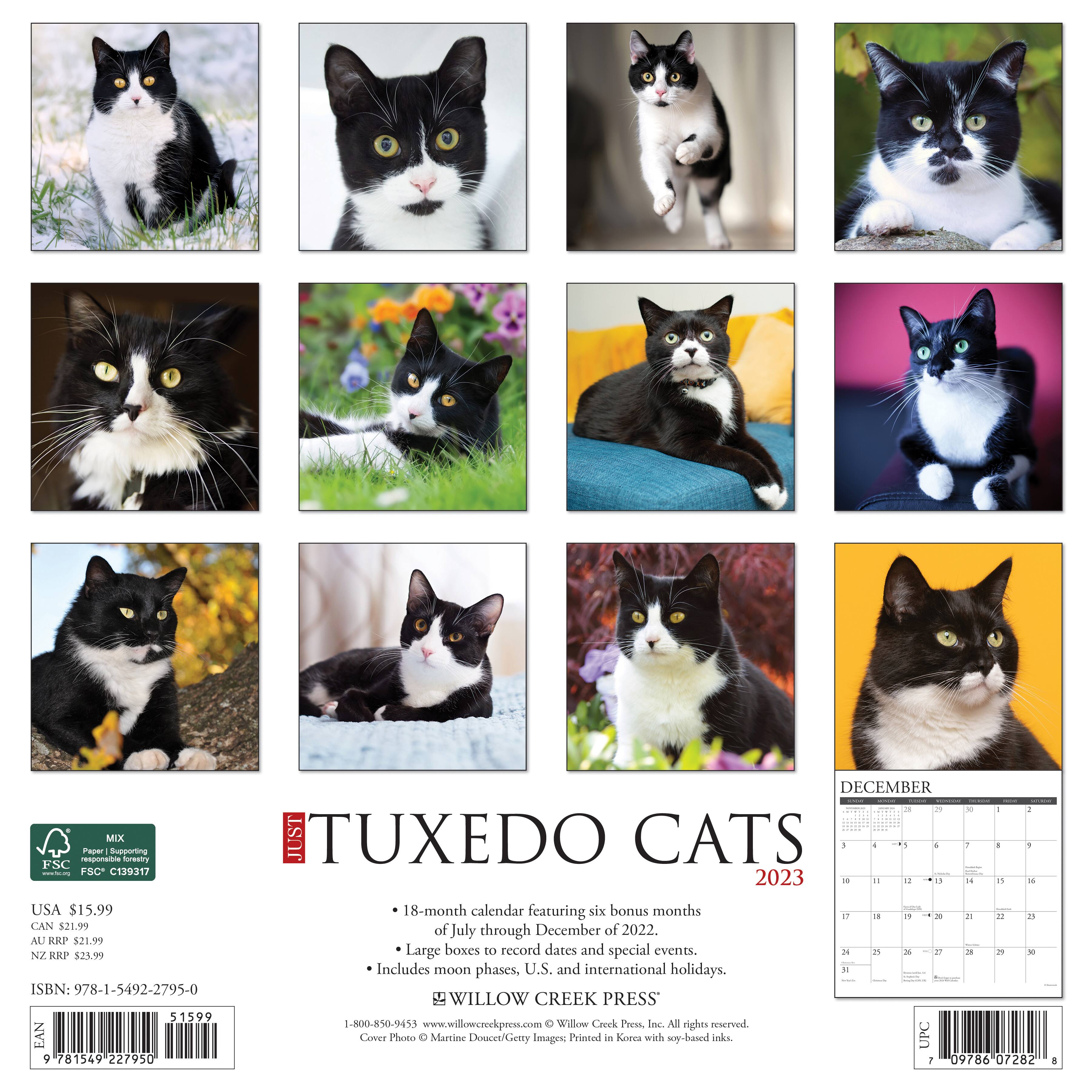 2023 Just Tuxedo Cats Wall Calendar | Wall Calendars | Michaels
