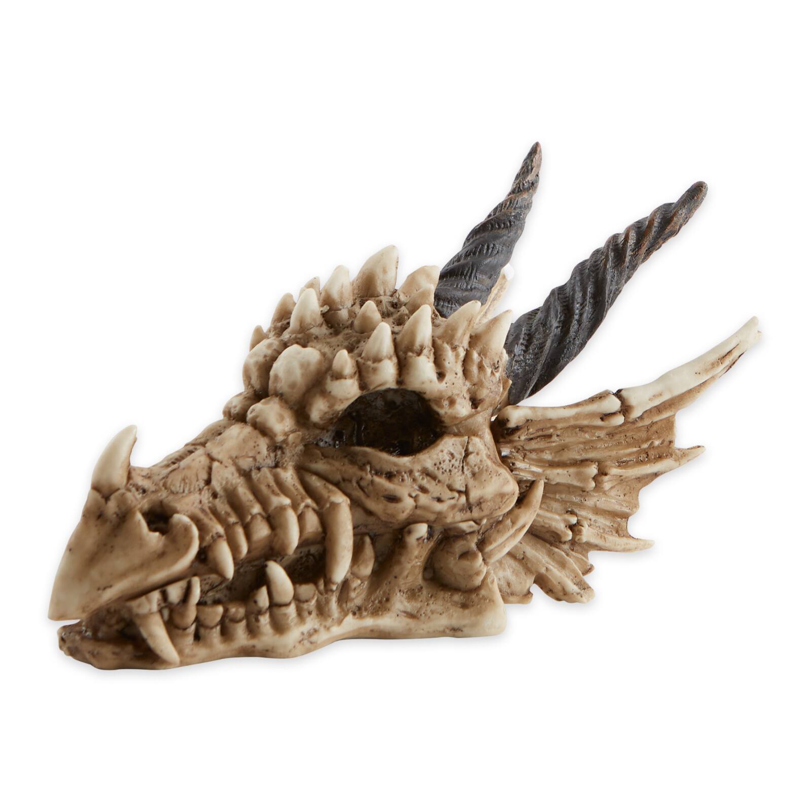 12" Snarling Dragon Skull Treasure Trove Box