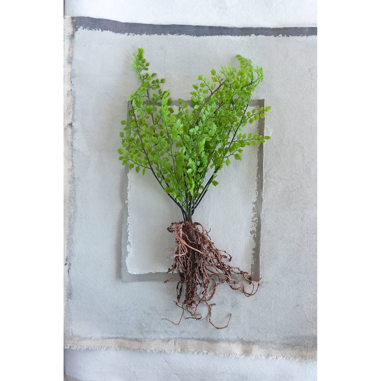 Hello Honey® Faux Ferns with Exposed Roots Set
