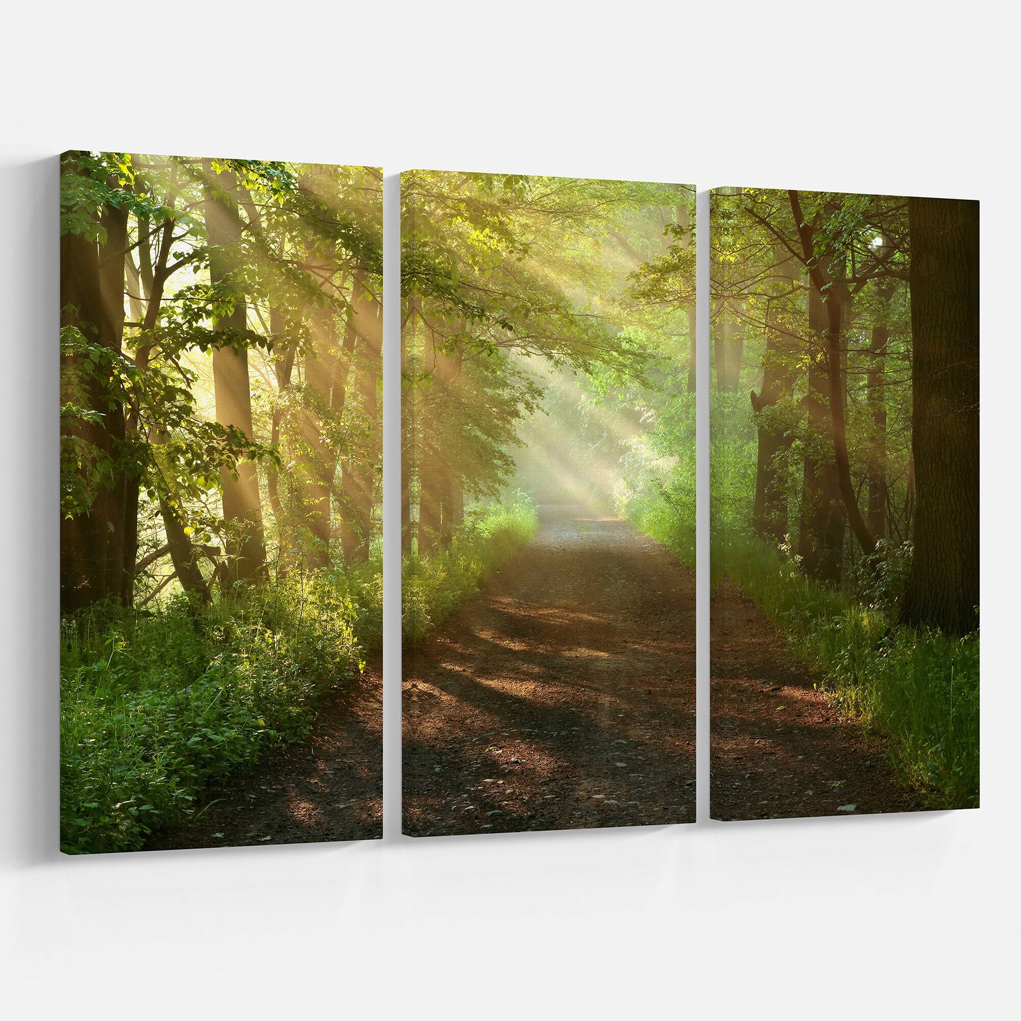 Designart - Suns Peeks into Forest - Landscape Photography Canvas Print