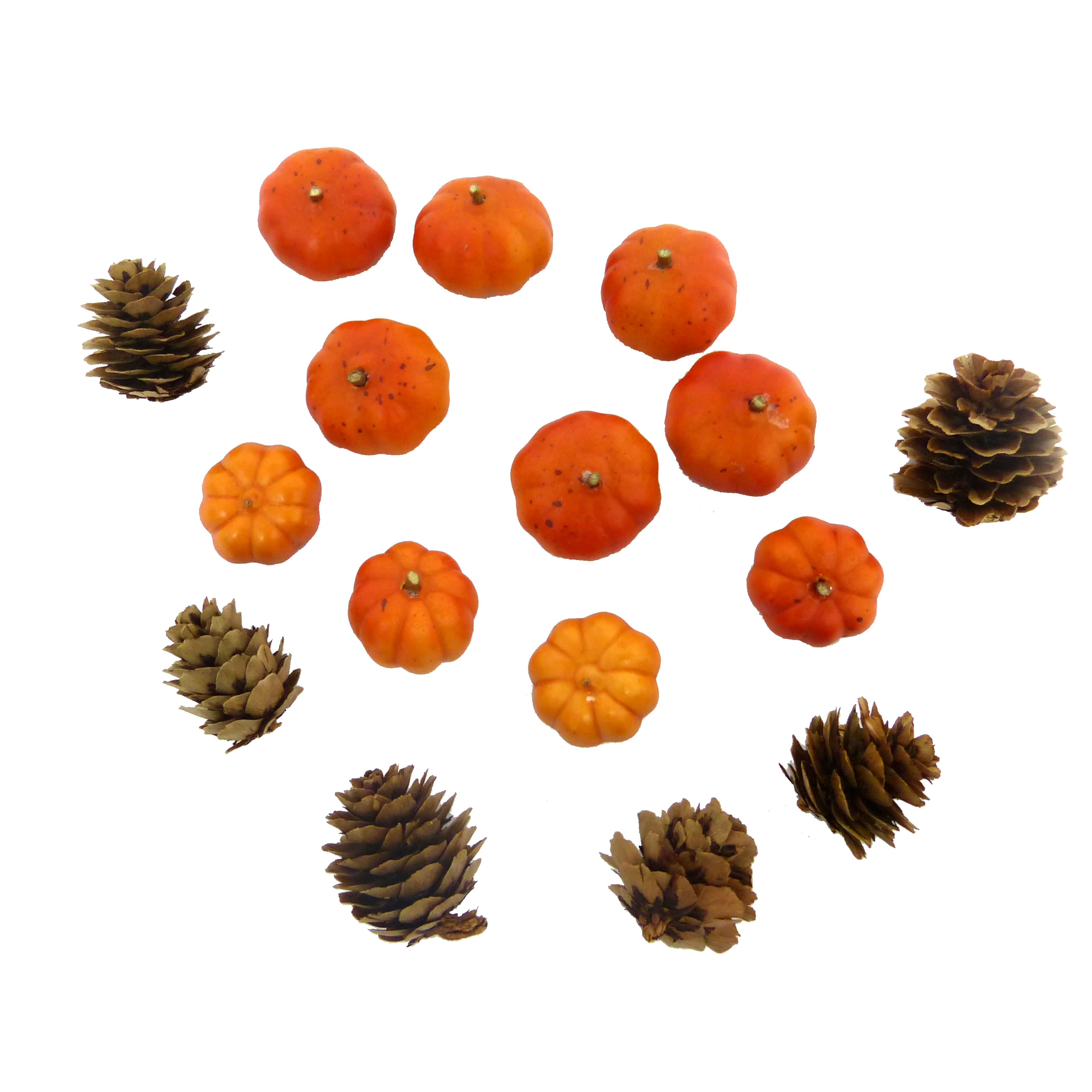 Decorative Pumpkin &#x26; Pinecone Set by Ashland&#xAE;