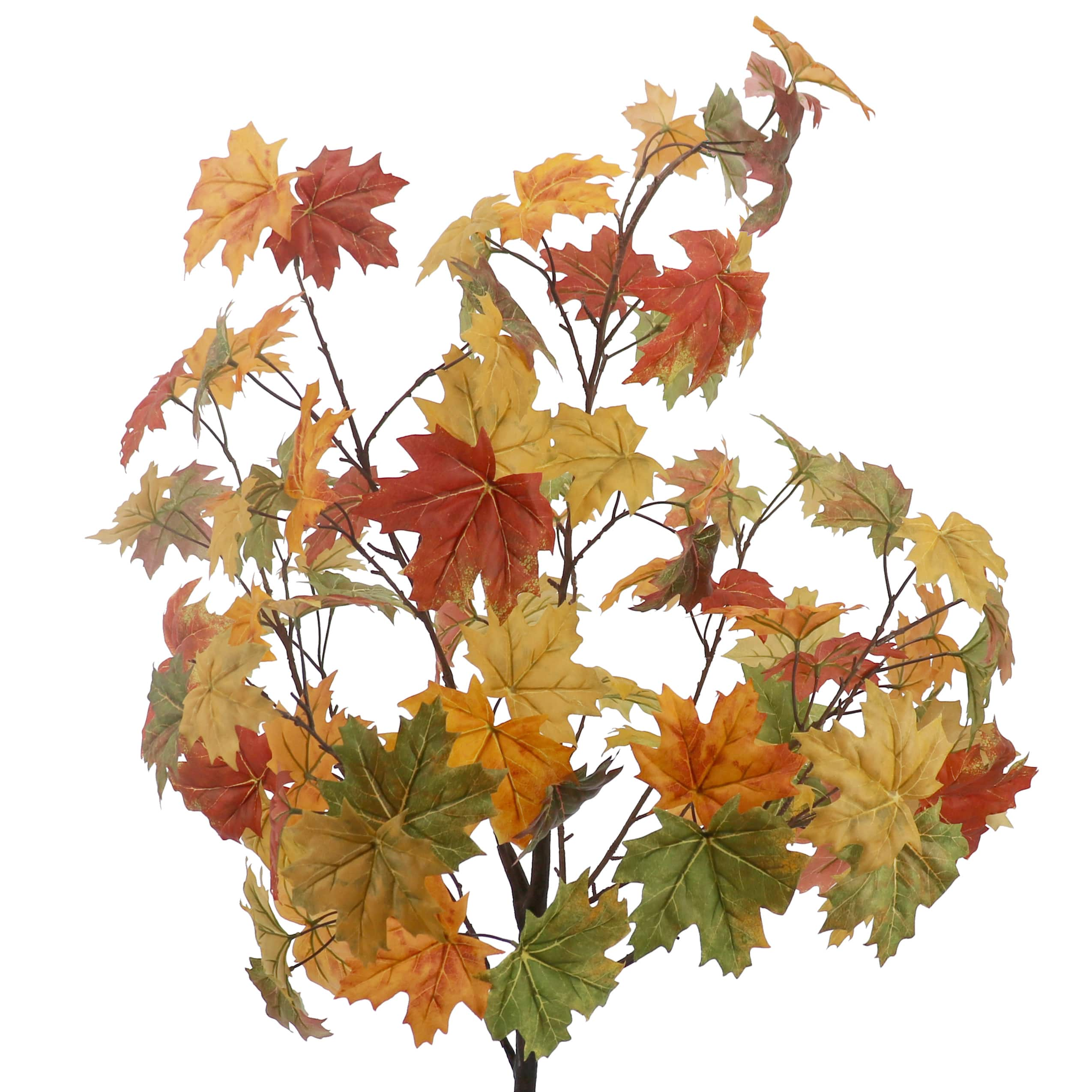 4ft. Yellow, Orange &#x26; Green Leaf Maple Tree by Ashland&#xAE;