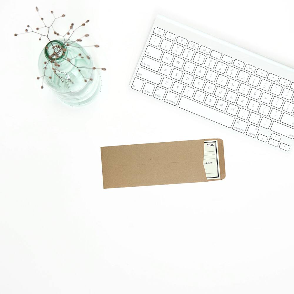 JAM Paper #10 Brown Kraft Paper Bag Policy Business Premium Envelopes