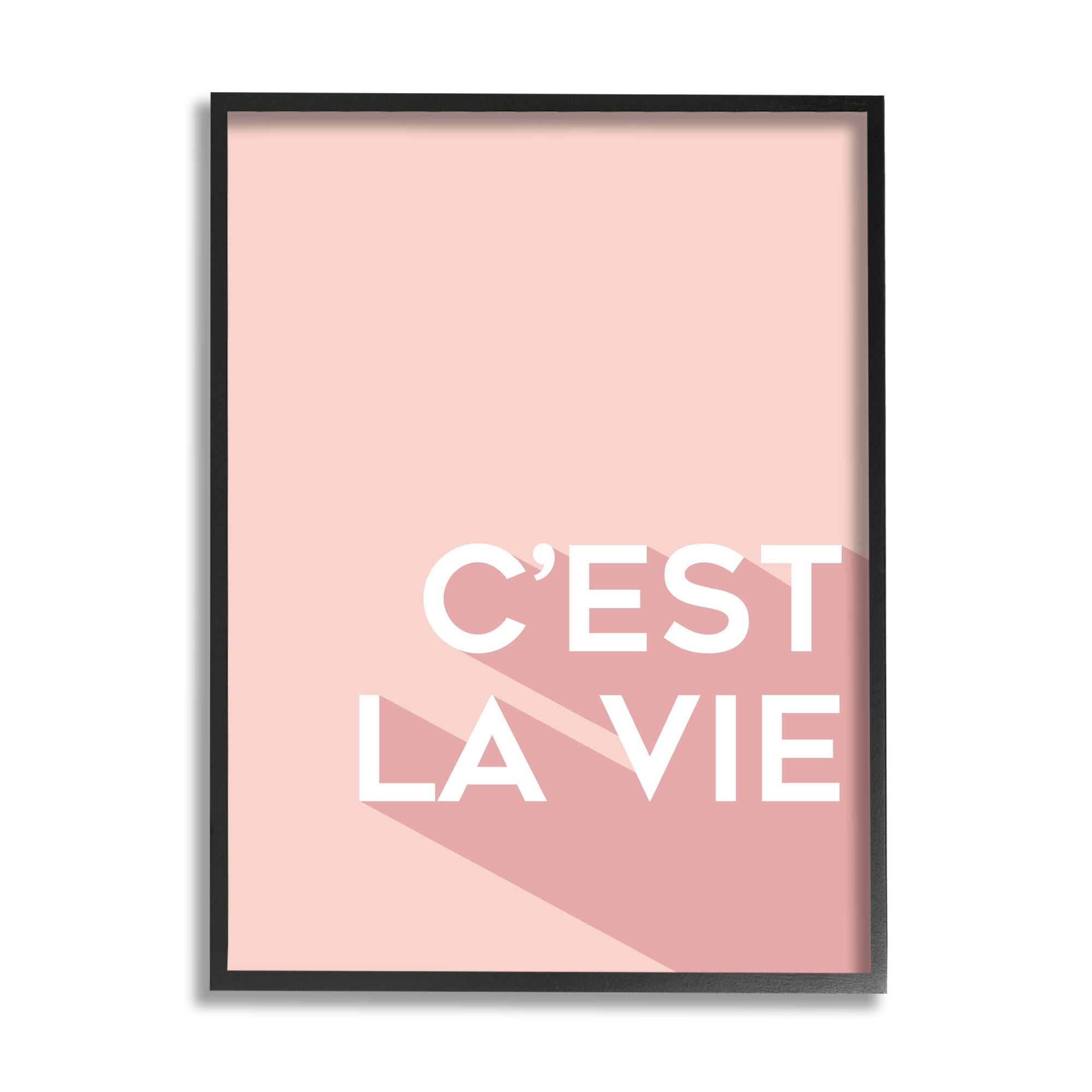 Stupell Industries C'est La Vie French Phrase Pink Pop Typography Framed Wall Art