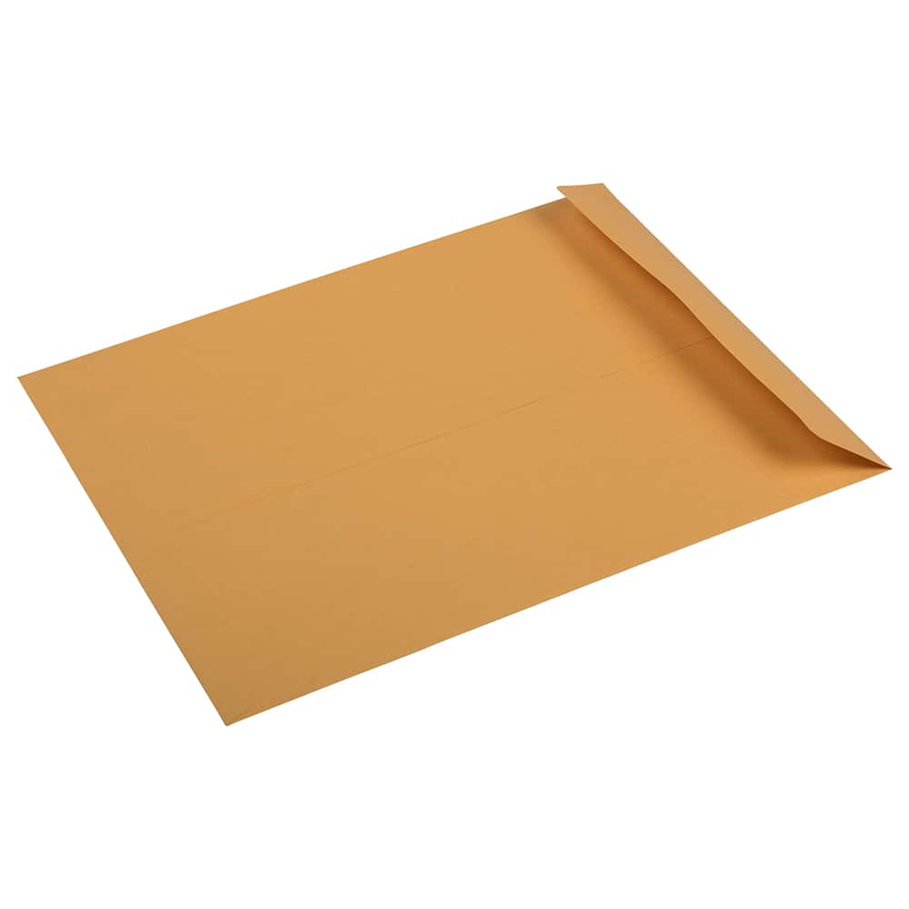 JAM Paper 10&#x22; x 13&#x22; Brown Kraft Recycled Manila Open End Envelopes, 100ct.
