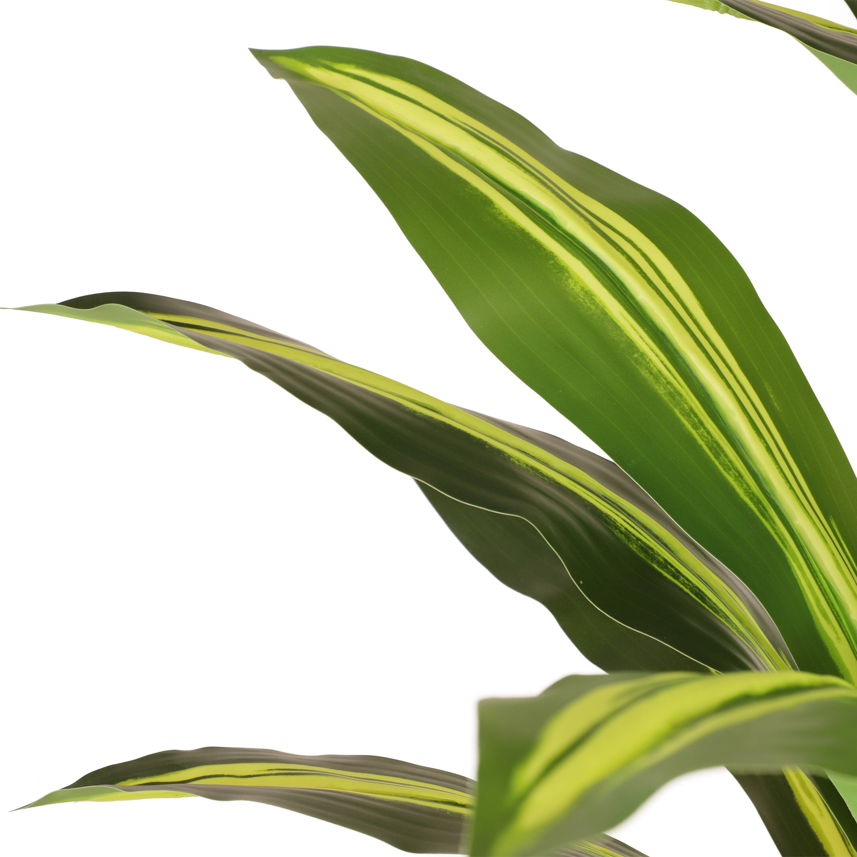 6ft. Artificial Dracaena Fragrans Tree in White Decorative Pot