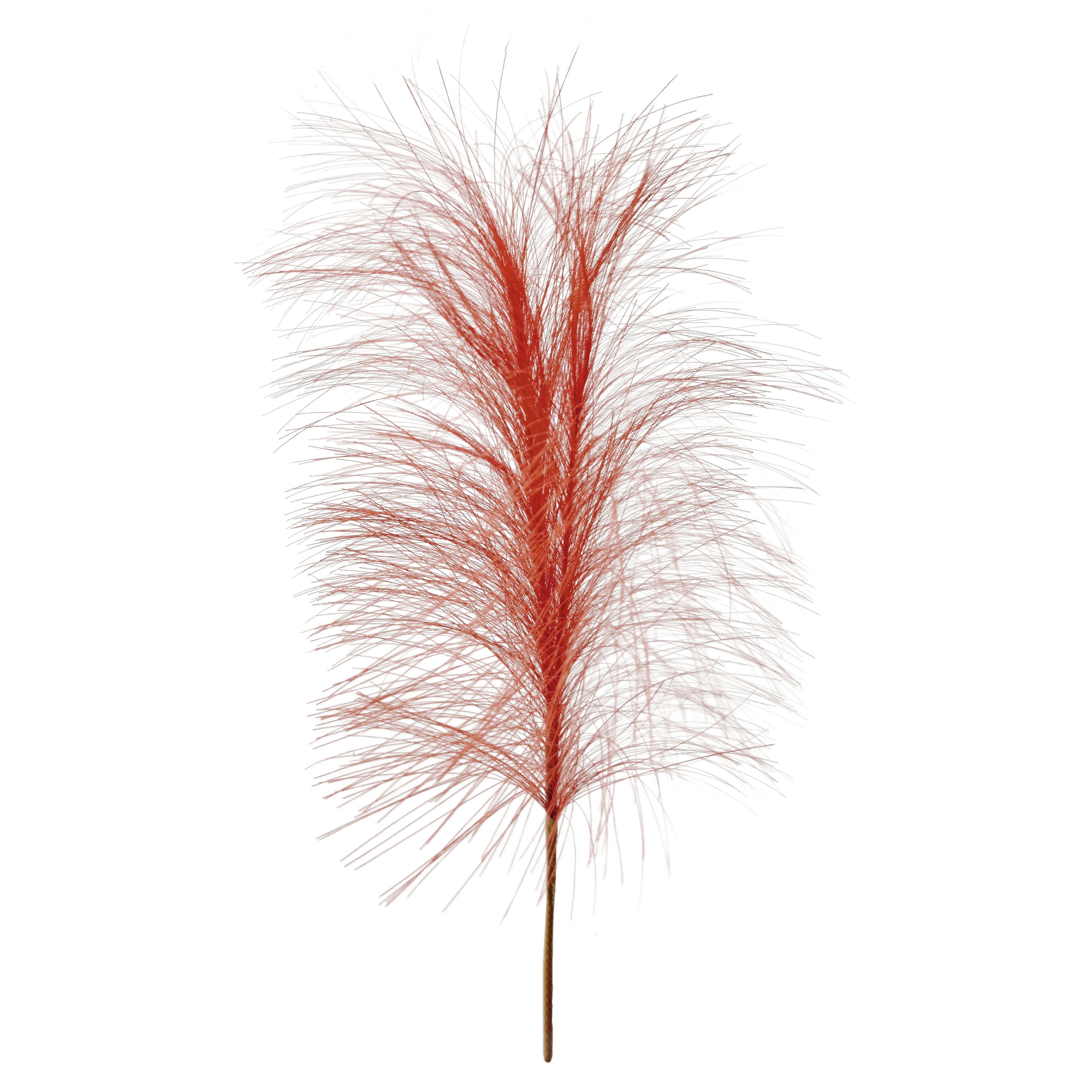 13.5&#x22; Pampas Grass Pick by Ashland&#xAE;