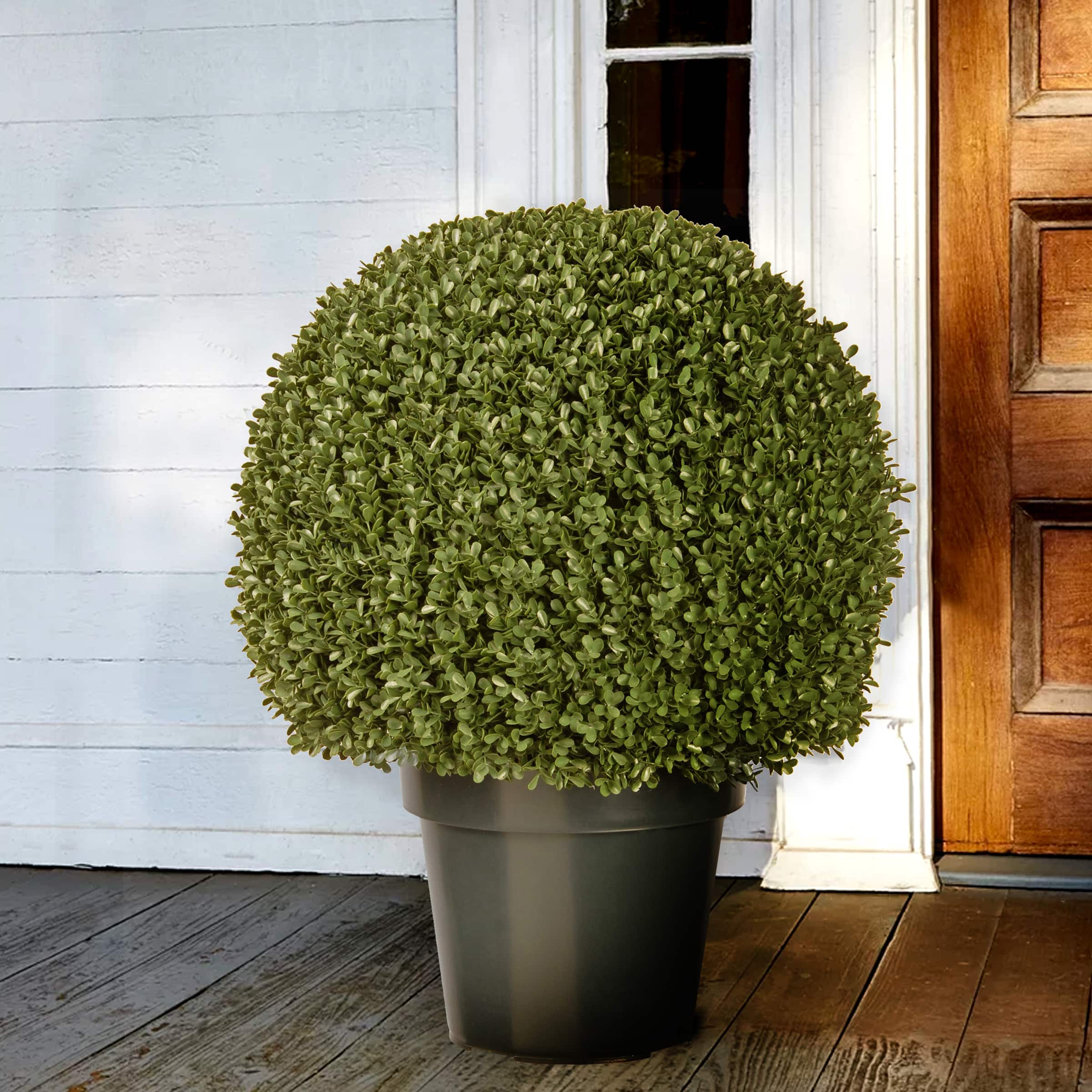22&#x22; Mini Boxwood Ball with Green Pot