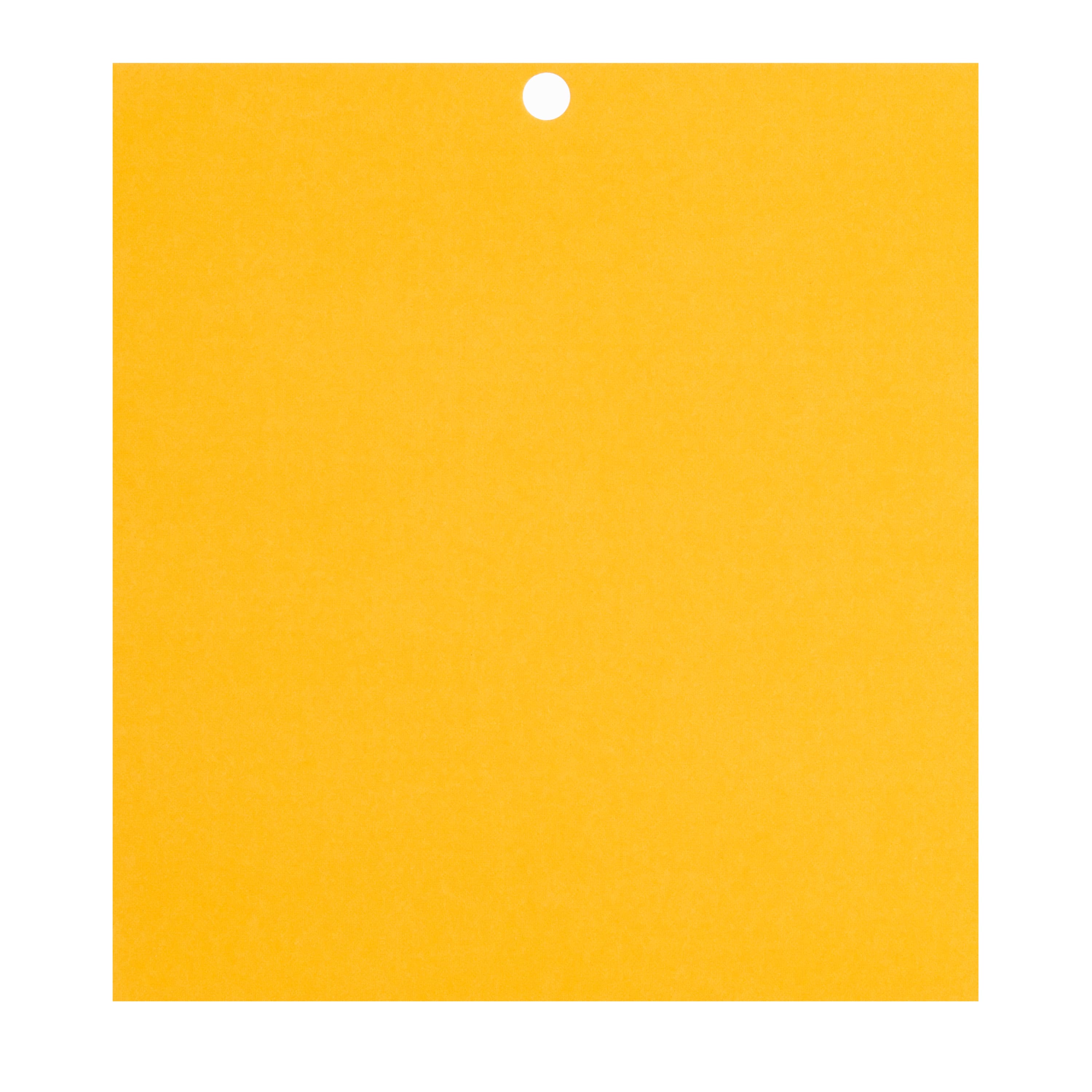 12 Packs: 100 ct. (1,200 total) Citrus 6&#x22; x 6.5&#x22; Cardstock Paper by Recollections&#x2122;