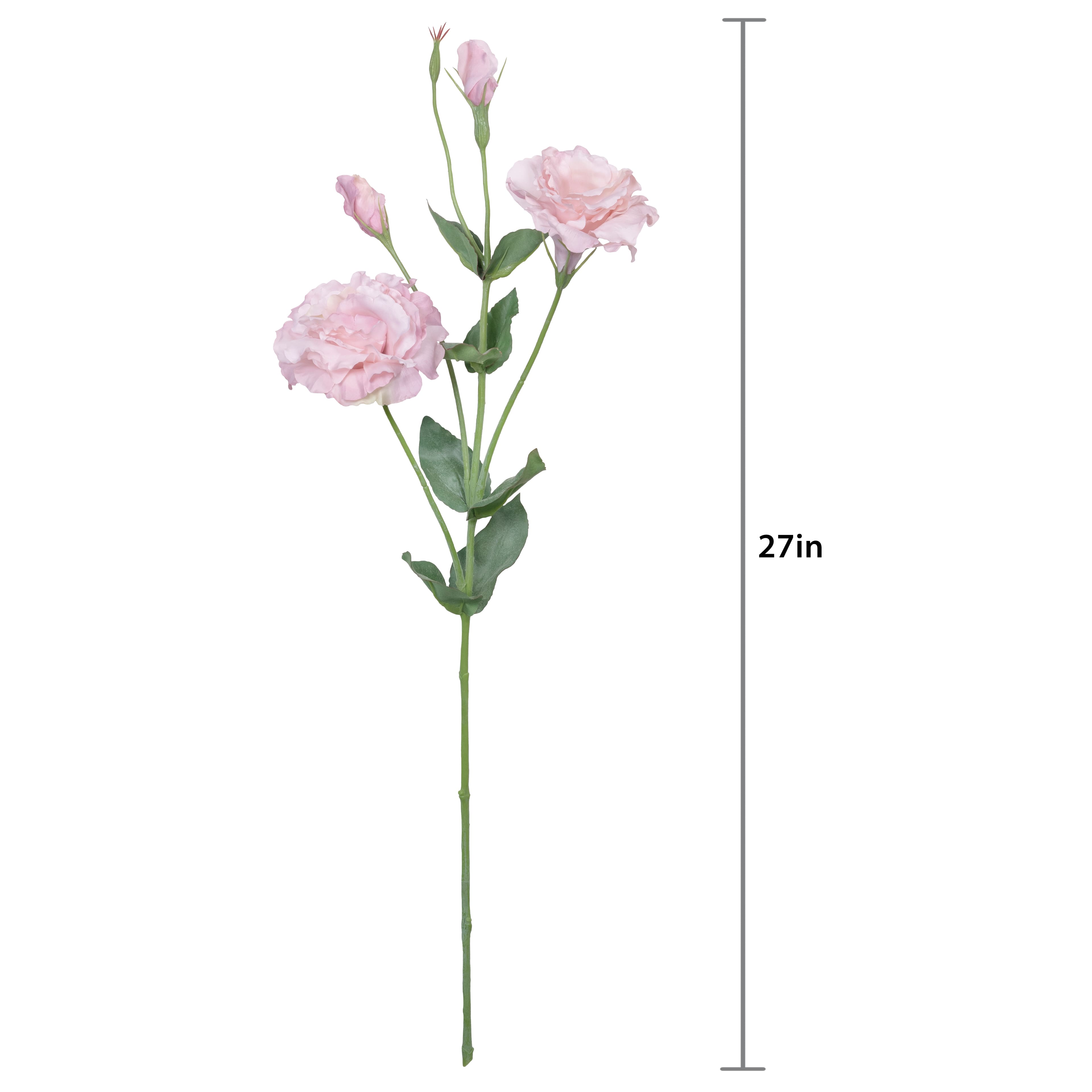 27" Lisianthus Stem by Ashland