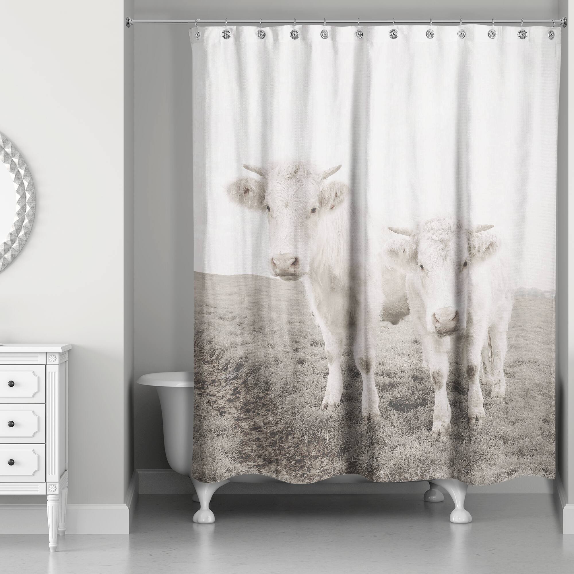 Whitewashed Cow Photograph 71&#x22; x 74&#x22; Shower Curtain