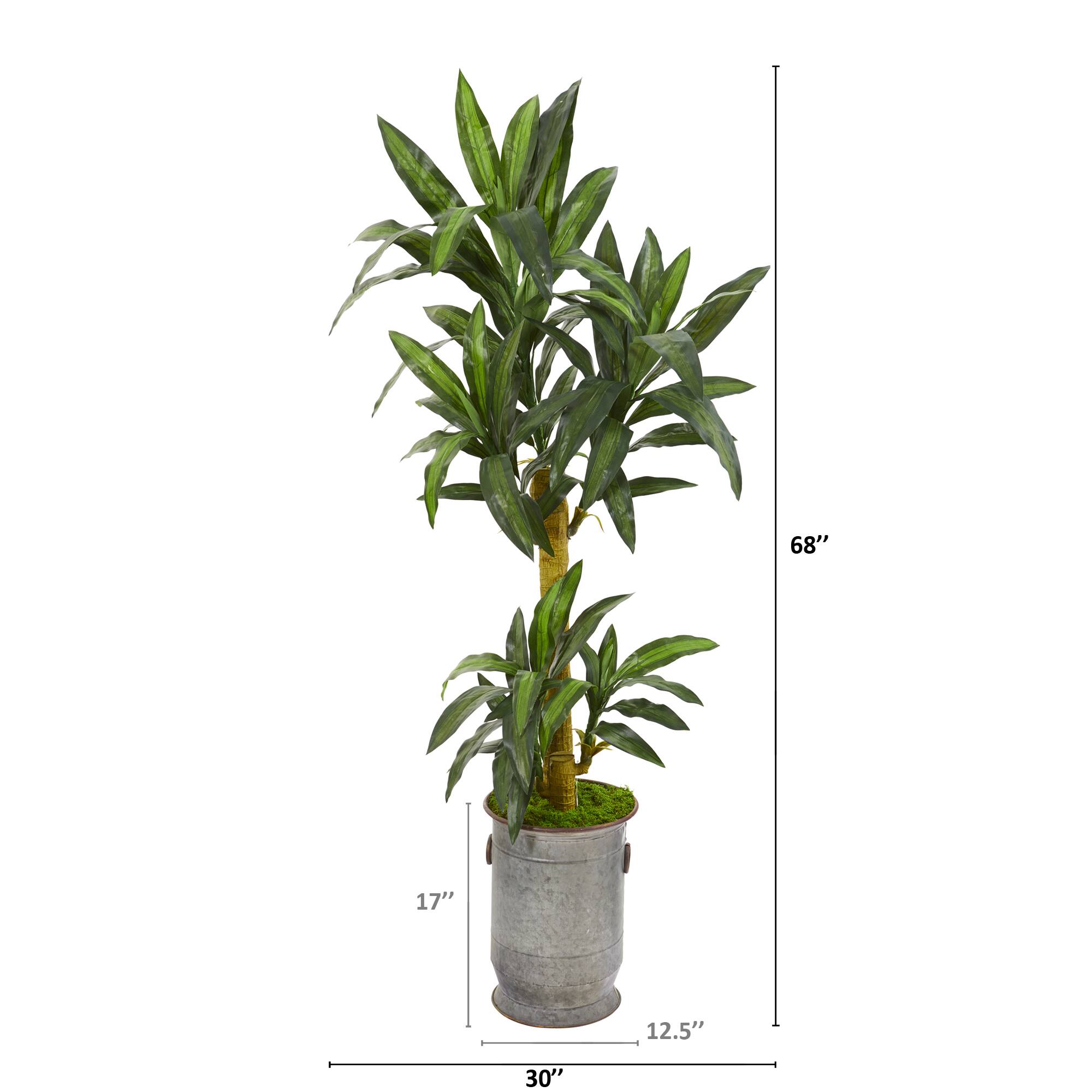 5.5ft. Yucca Plant in Copper Trimmed Metal Planter