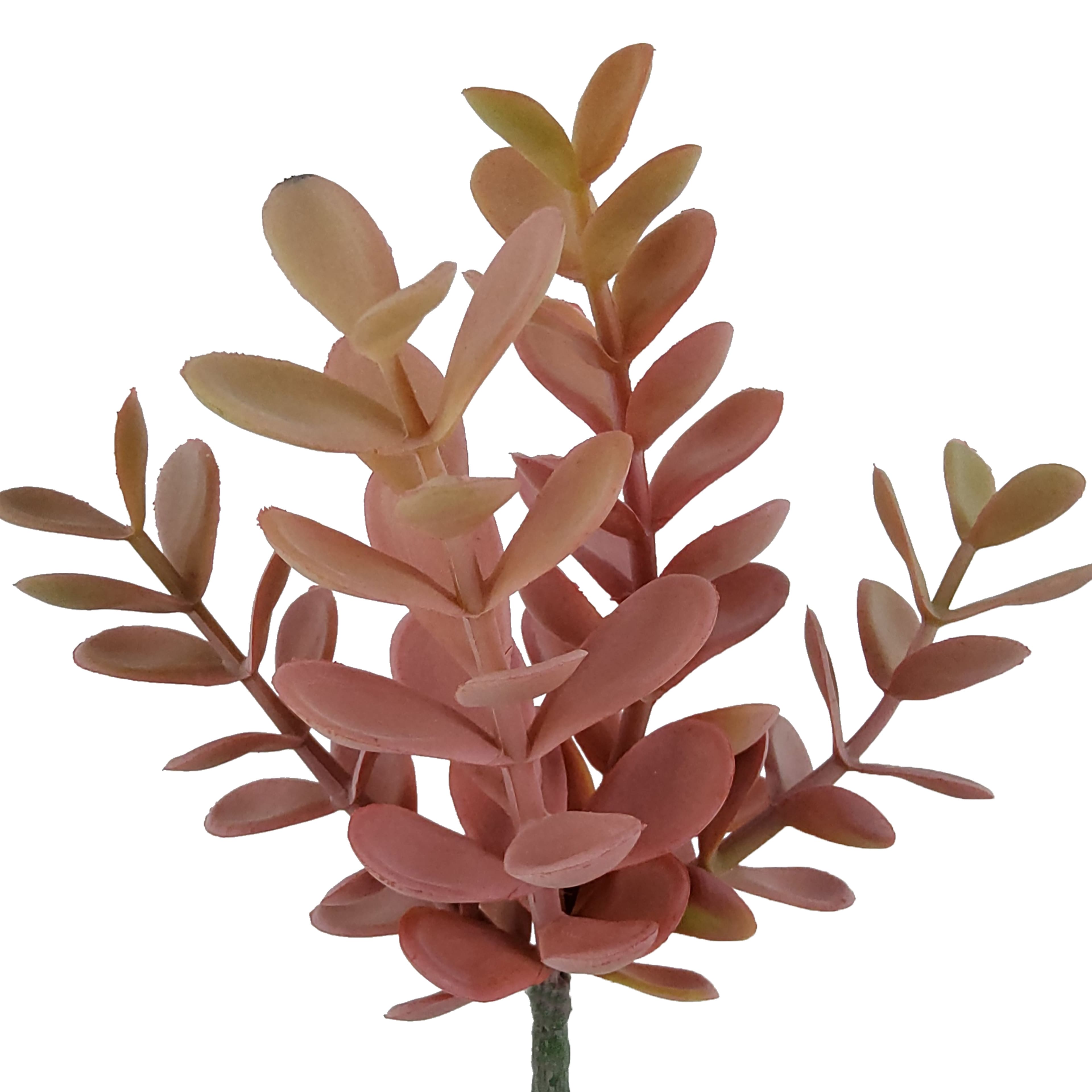 8&#x22; Pink Sedum Pick by Ashland&#xAE;