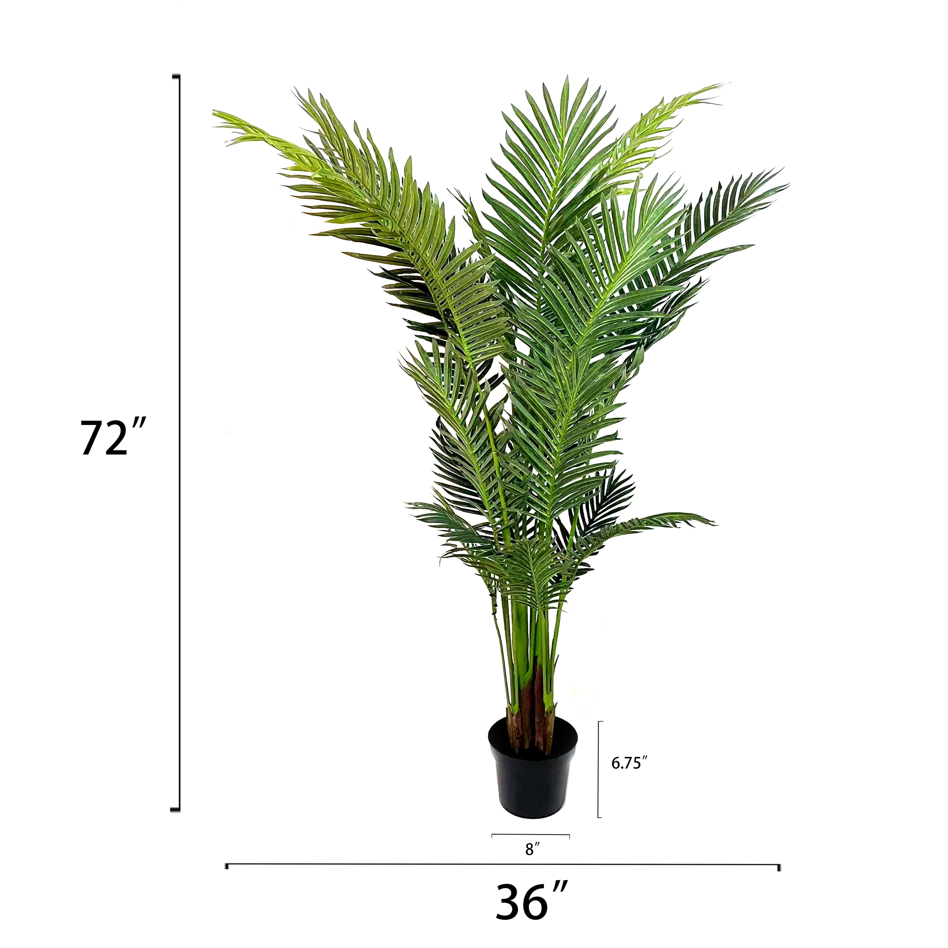 6ft. Areca Palm Tree by Ashland&#xAE;