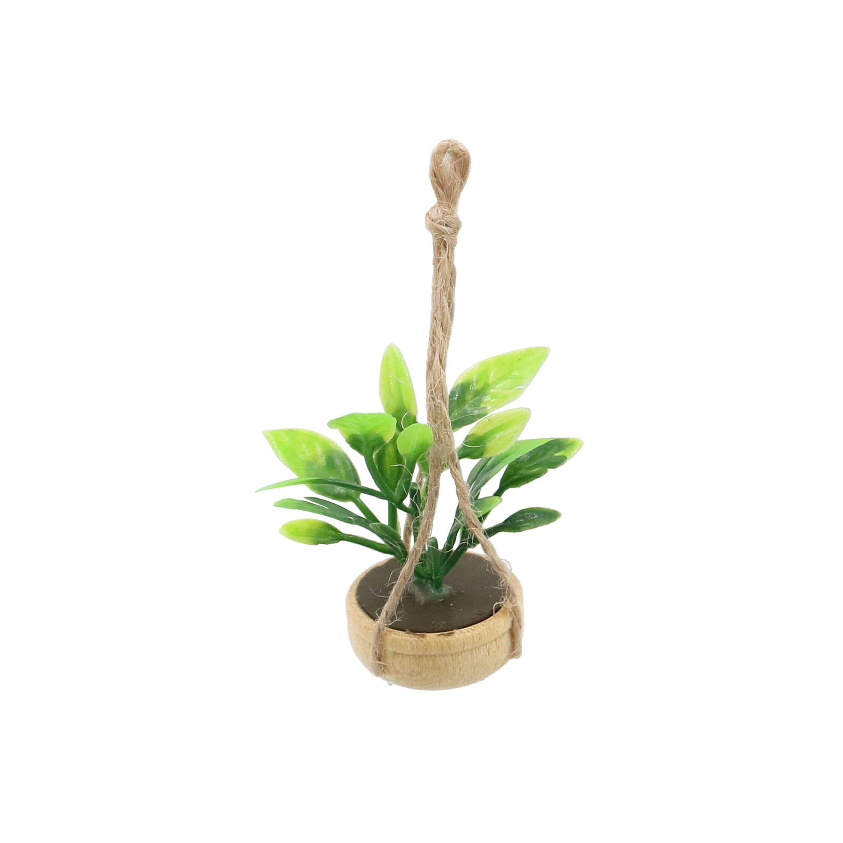 Mini Hanging Plant by Make Market&#xAE;