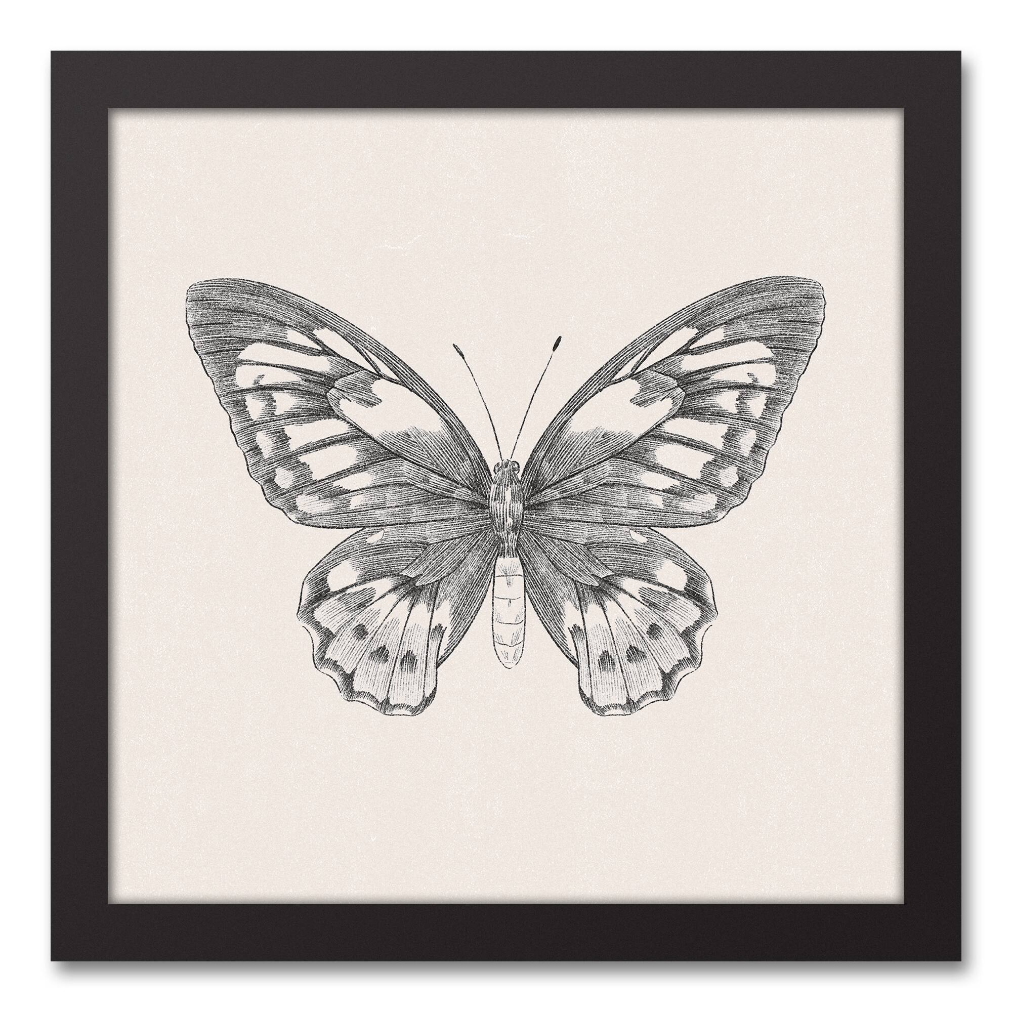 Butterfly Ink 13.73" x 13.73" Black Framed Canvas