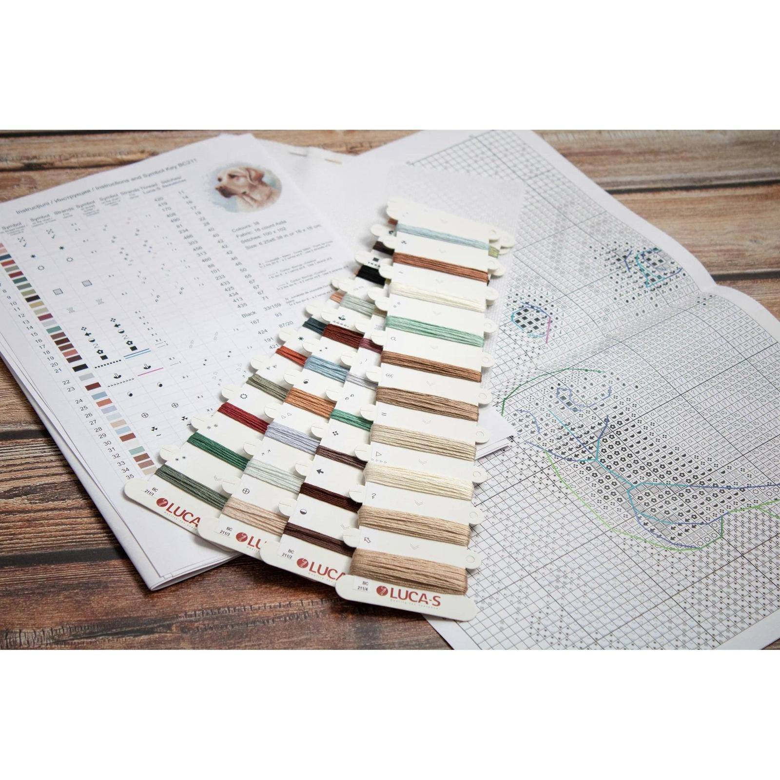 Luca-S Labrador Counted Cross Stitch Kit with Display Hoop