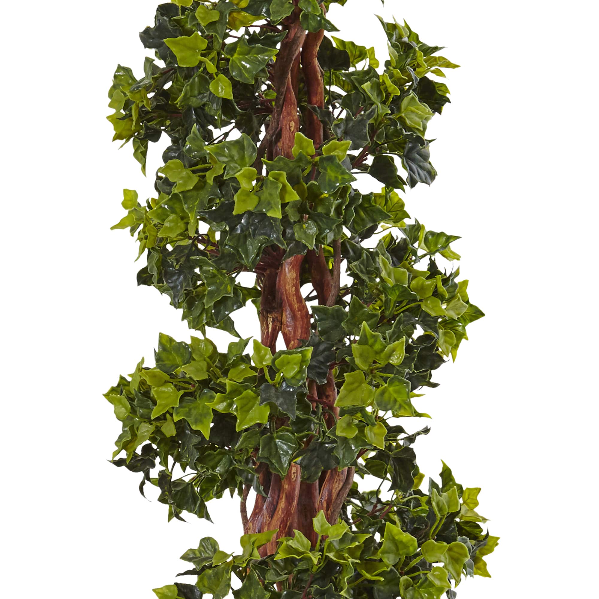 4ft. English Ivy Topiary Tree in White Oval Planter