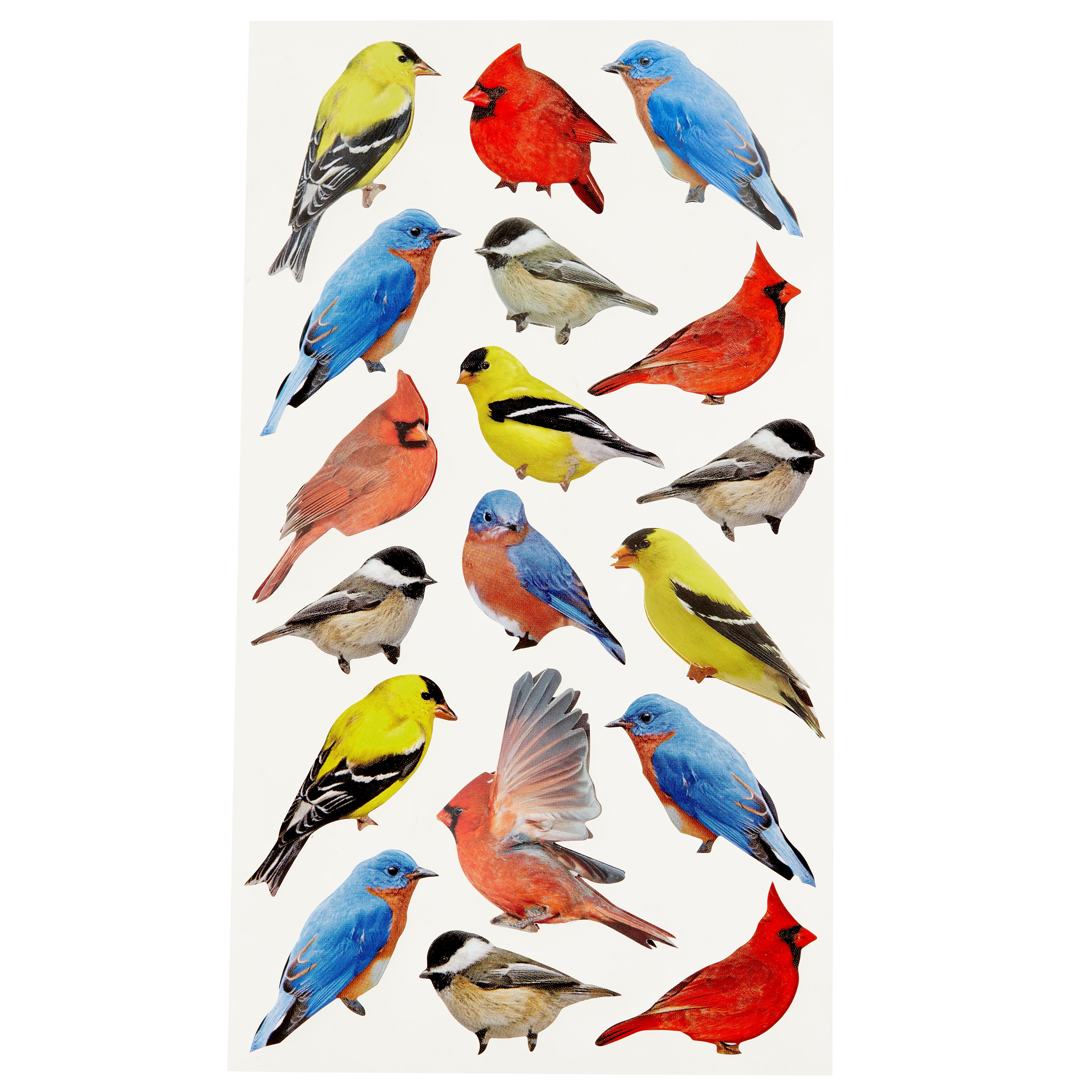 12 Packs: 18 ct. (216 total) Bird Stickers by Recollections&#x2122;
