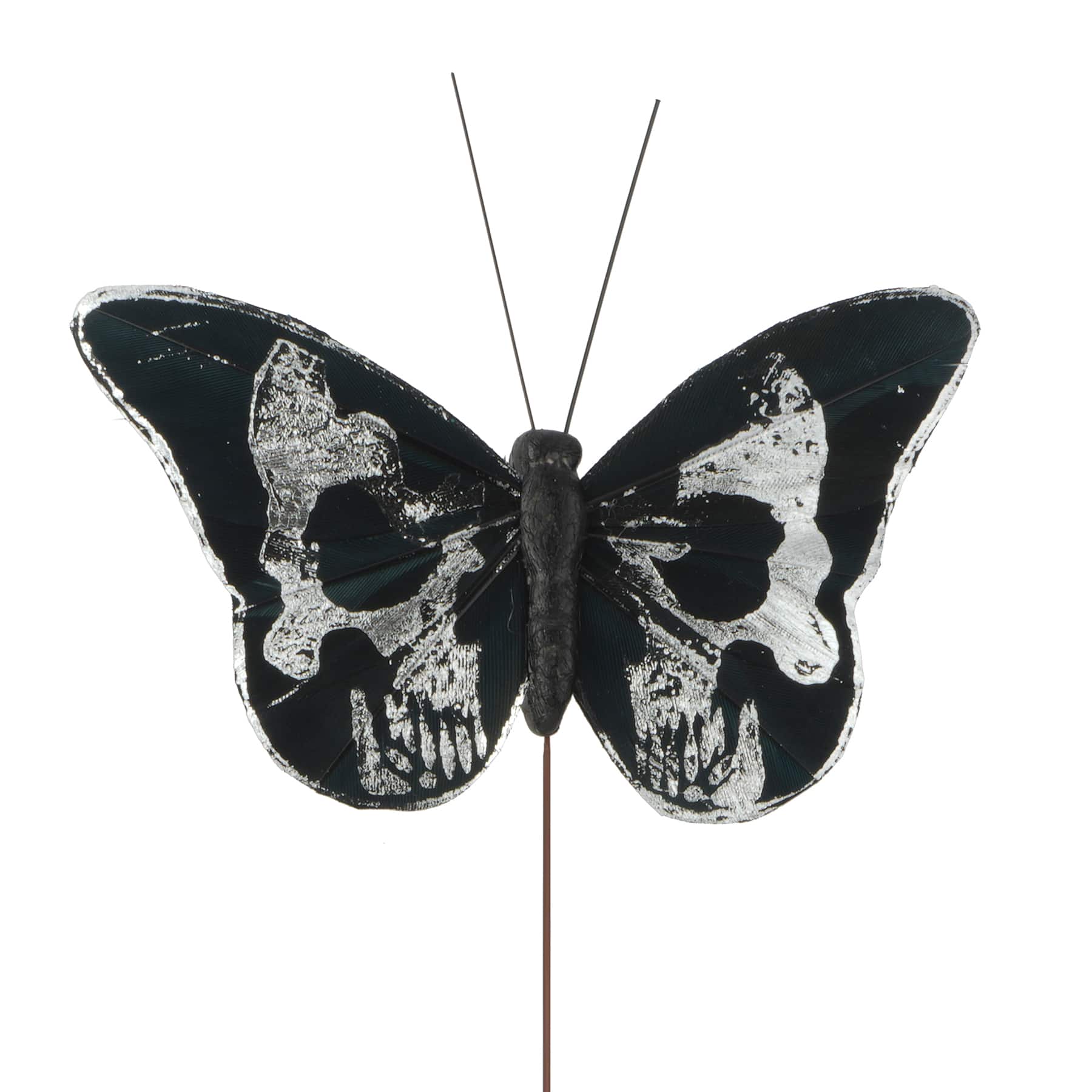 Silver Skull Butterfly Set by Ashland&#xAE;