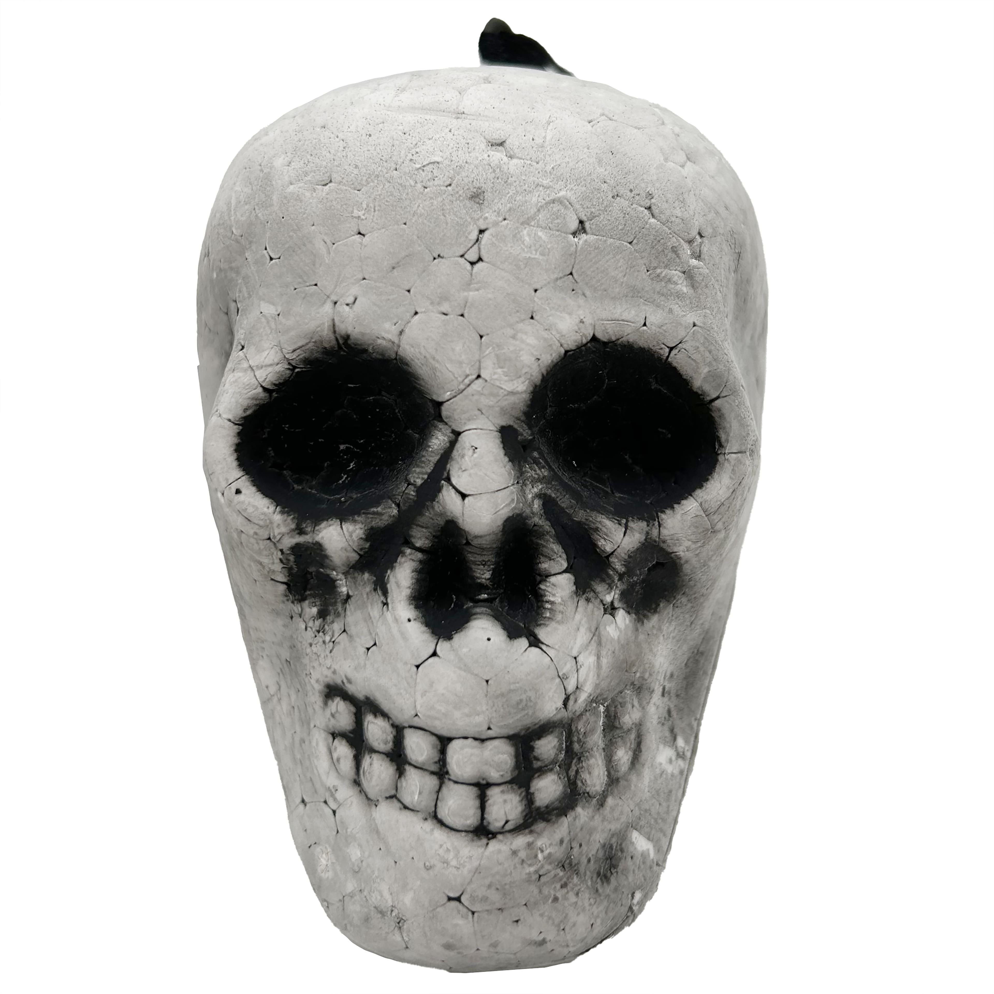 Assorted 3.5&#x22; Skull by Ashland&#xAE;, 1pc.