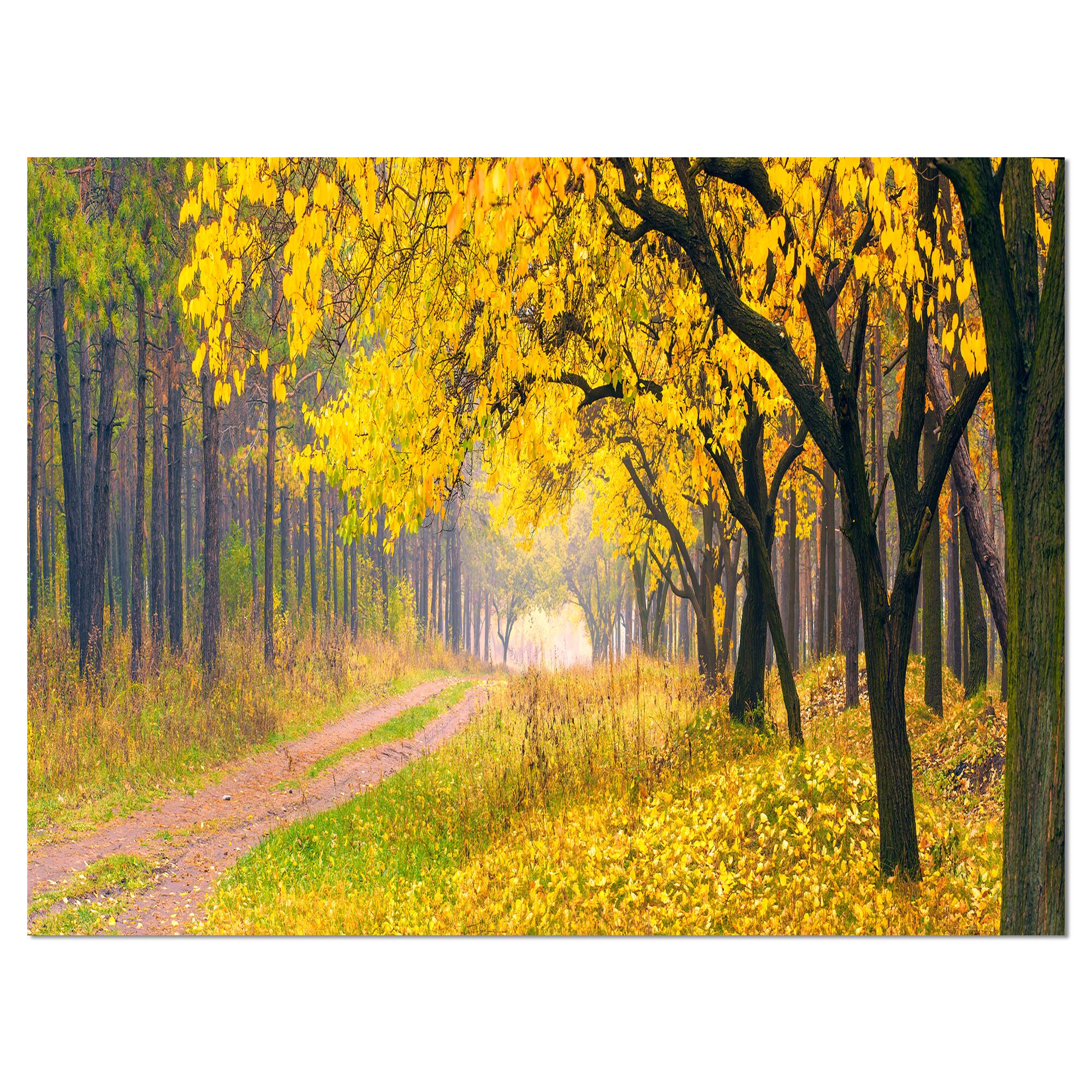 Designart - Bright Yellow Autumn Forest - Landscape Photo Canvas Art Print