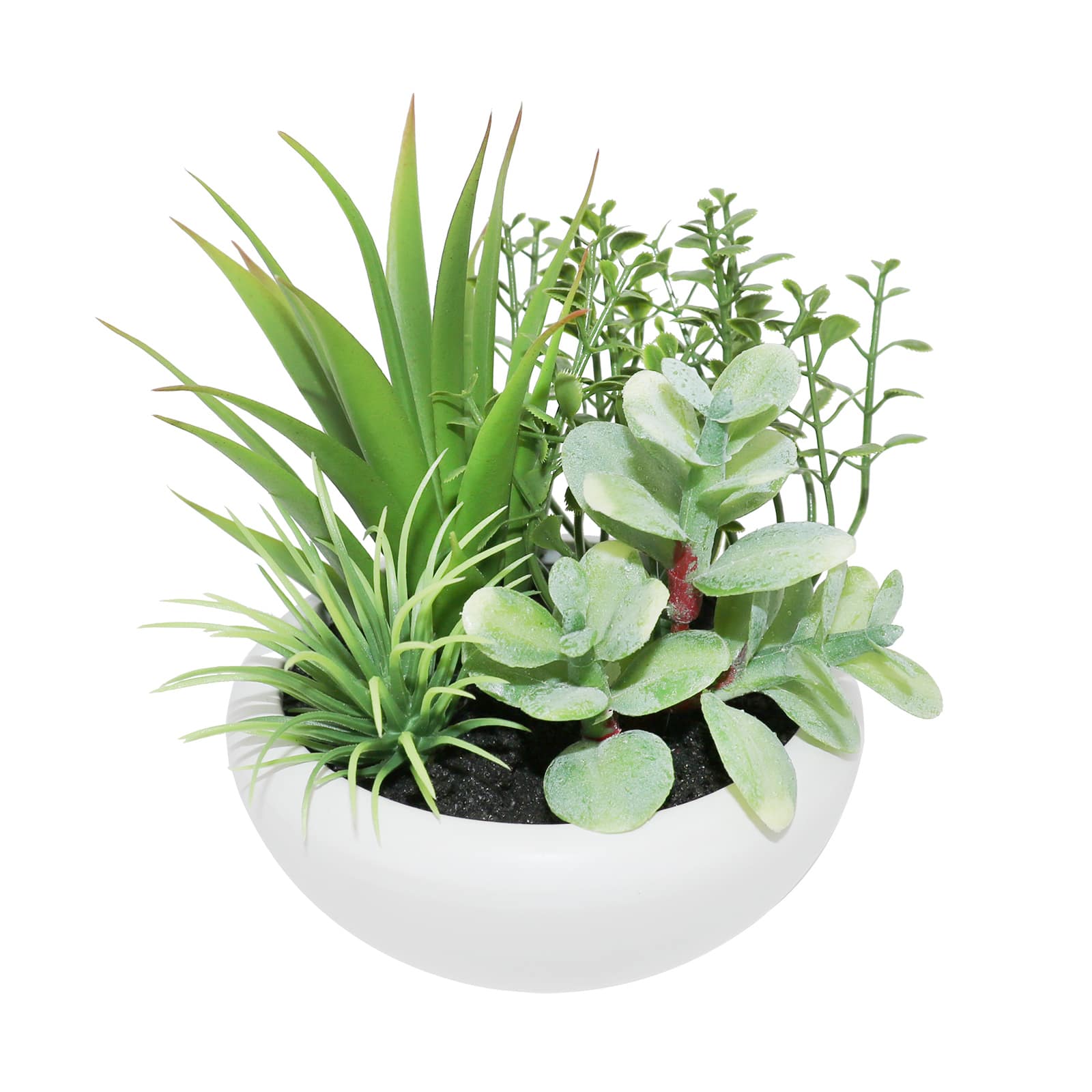 5&#x22; Succulent &#x26; Boxwood Mix in White Planter by Ashland&#xAE;