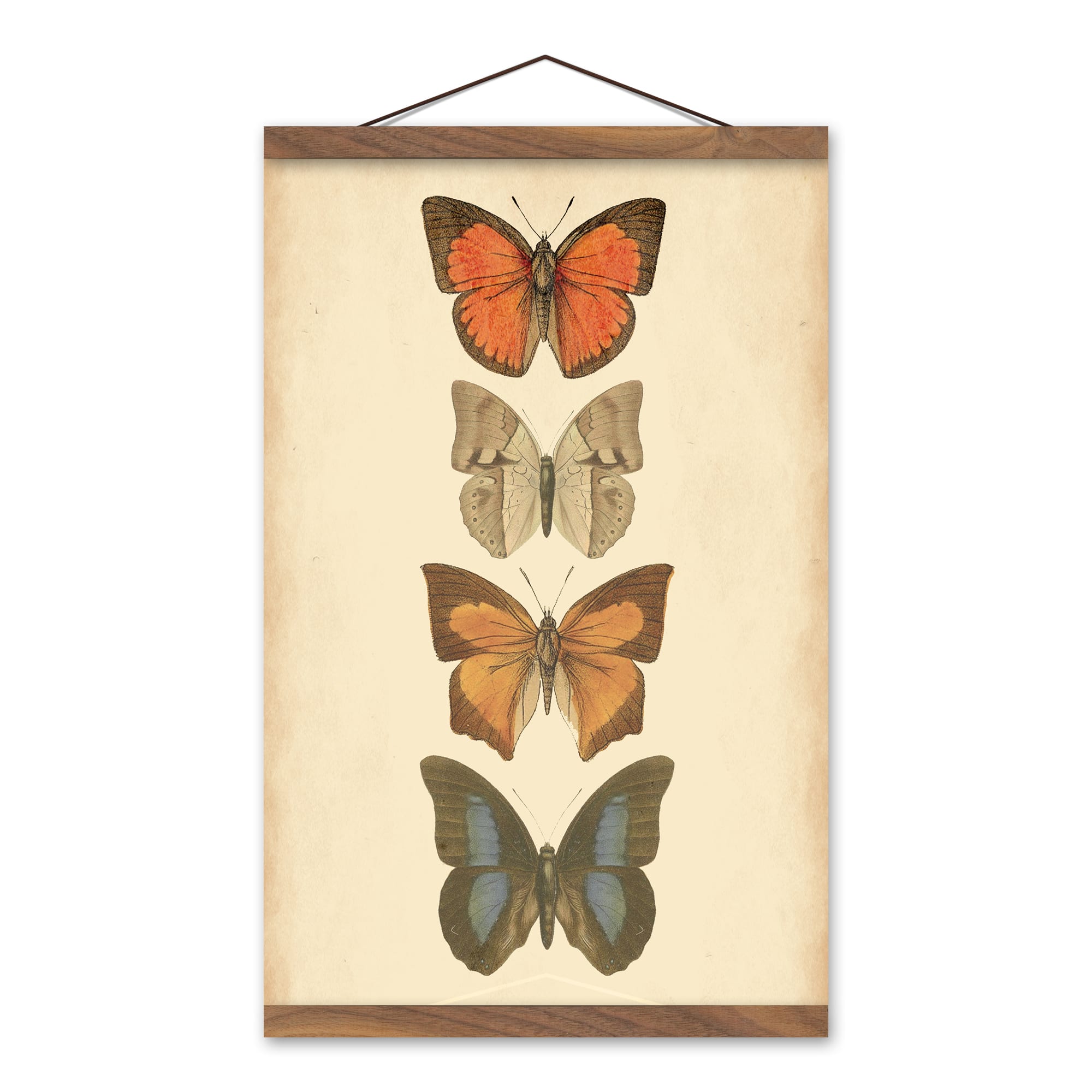 Vintage Butterflies 12" x 18" Teak Hanging Canvas