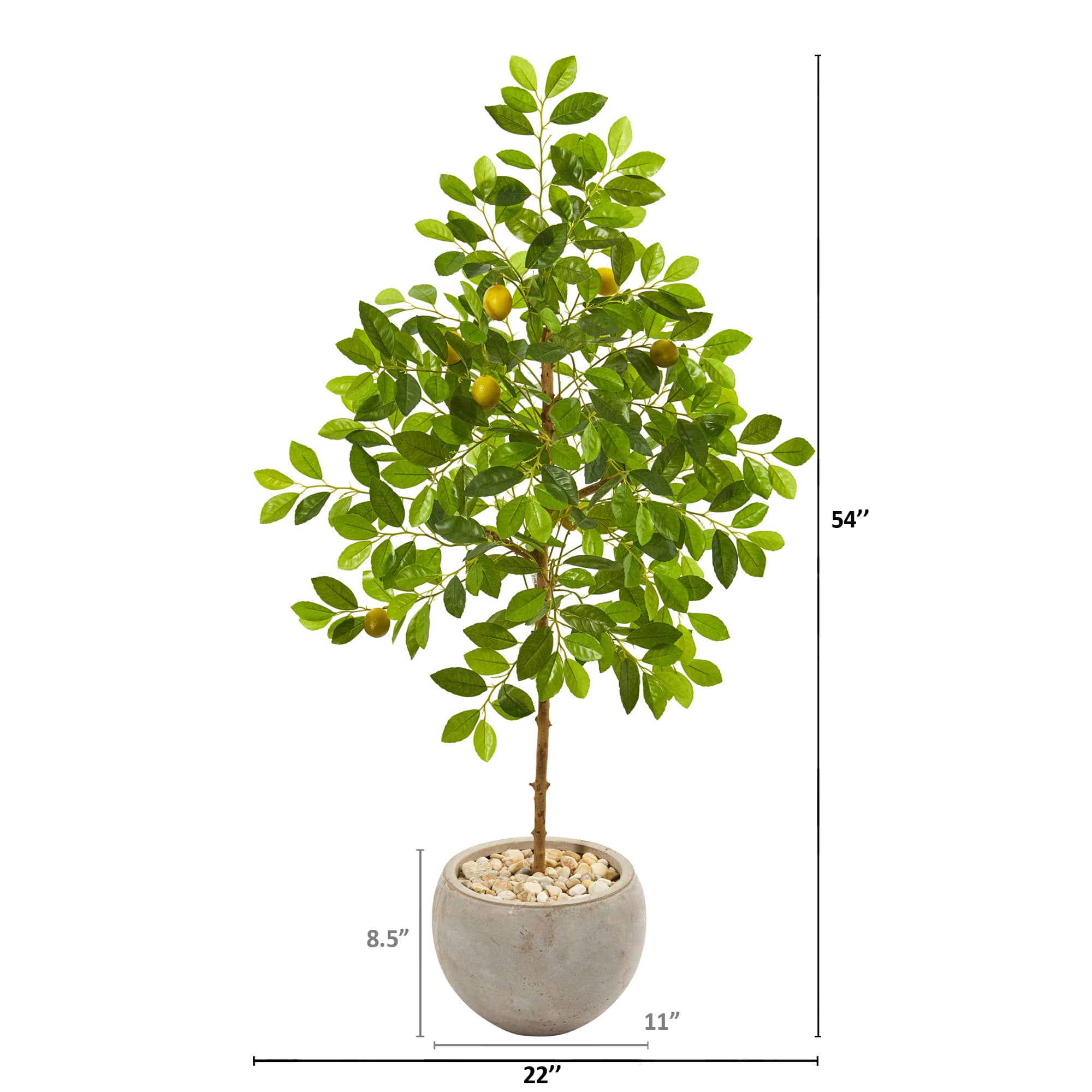 4.5ft. Lemon Tree in Sand Colored Planter