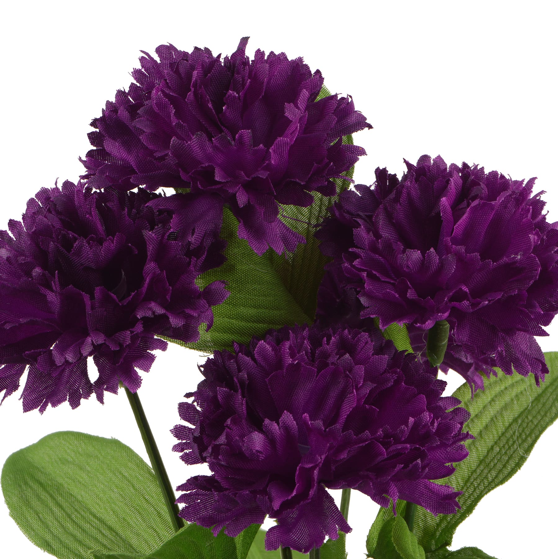 Purple Carnation Bush by Ashland&#xAE;