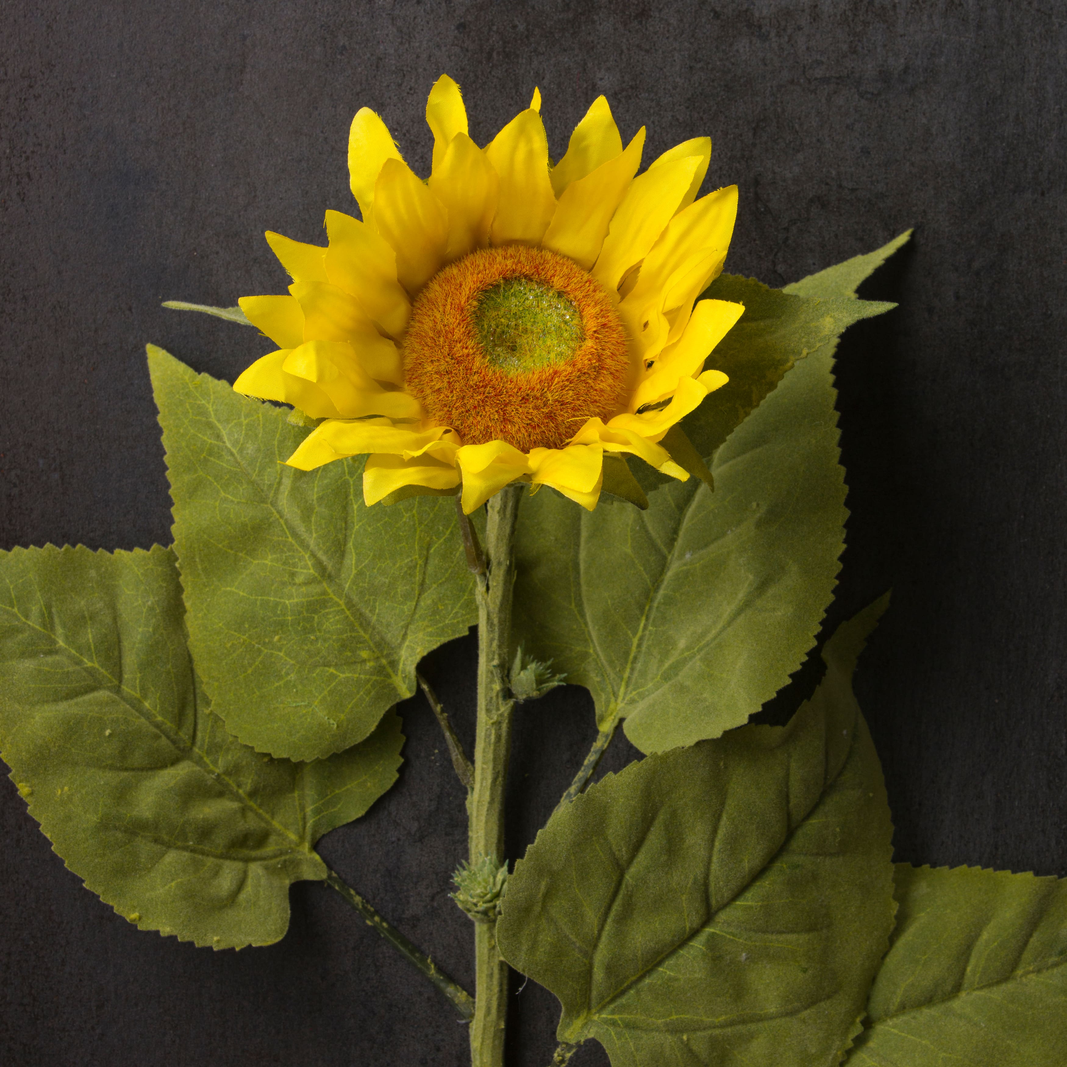 6 Pack: Yellow Sunflower Stem by Ashland&#xAE;