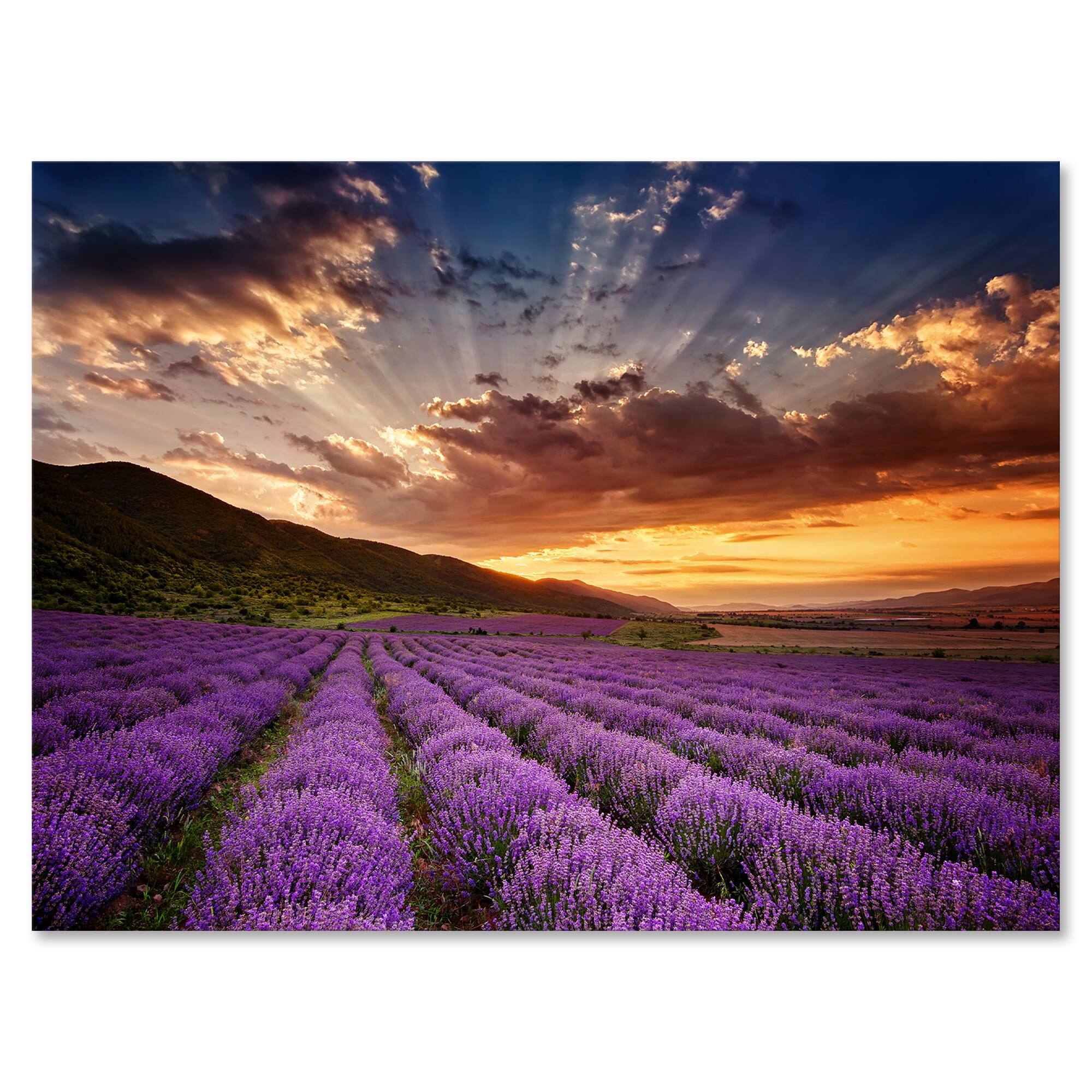 Designart - Sunrise &#x26; Dramatic Clouds Over Lavender Field X - Farmhouse Canvas Wall Art Print