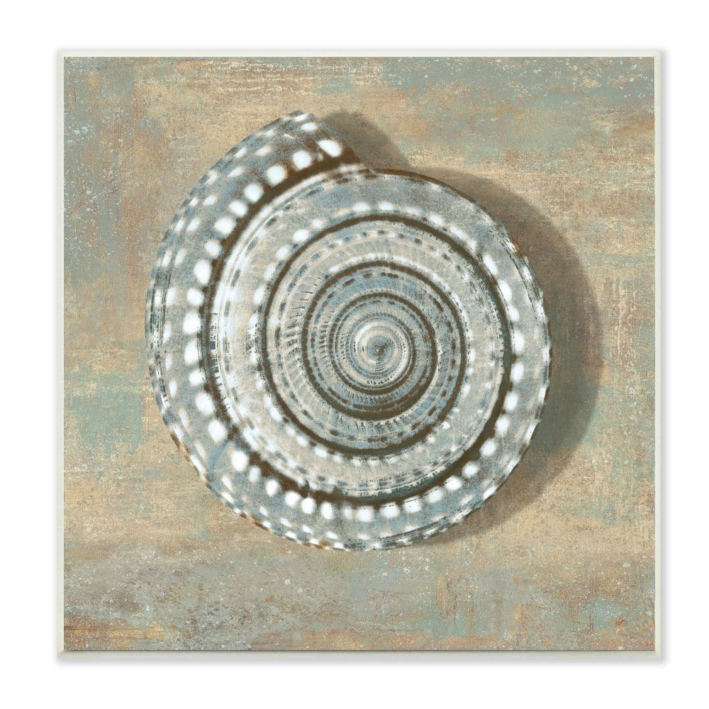 Stupell Industries Spiral Shell Beach Objects Design Wood Wall Plaque